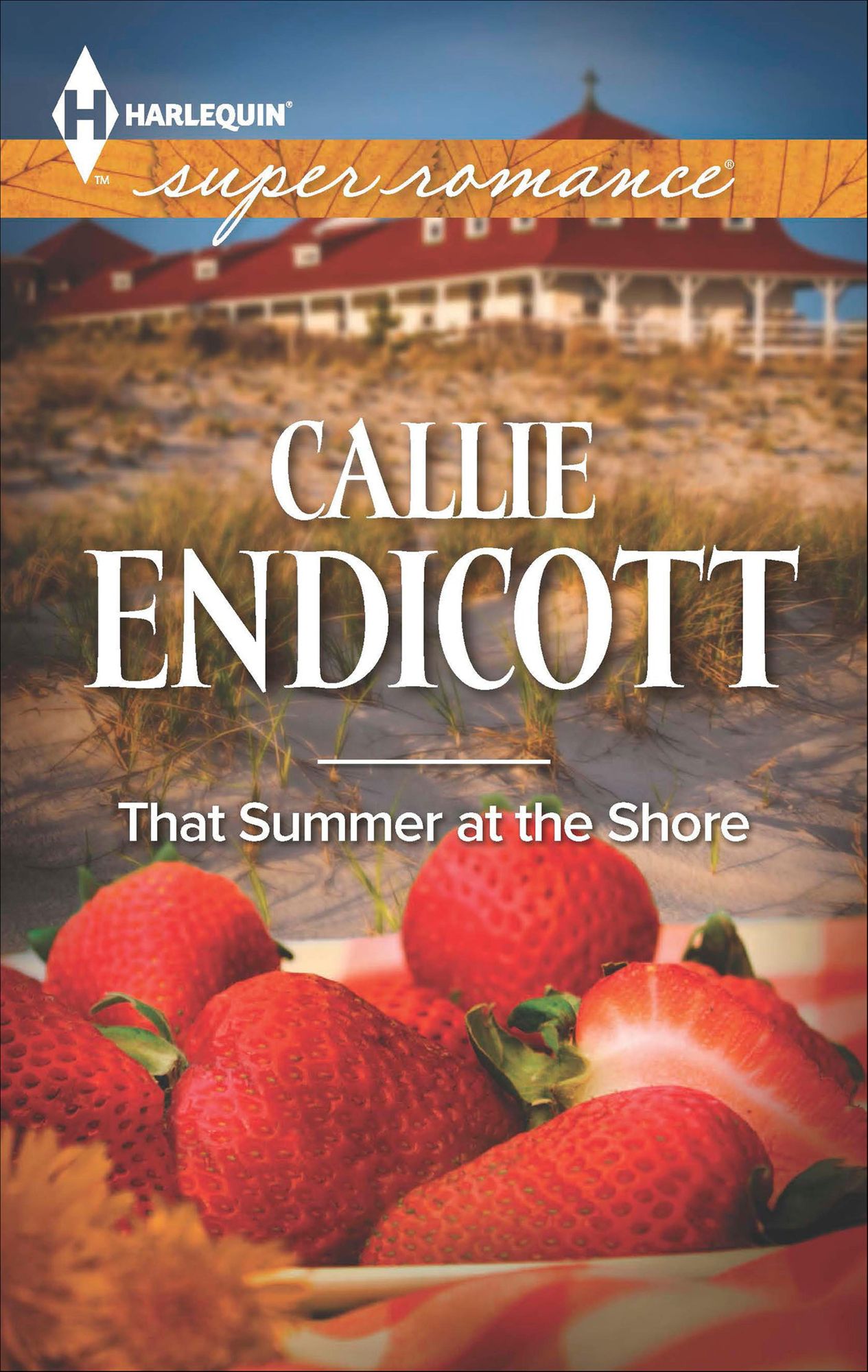That Summer at the Shore (Harlequin Super Romance Series #1900)