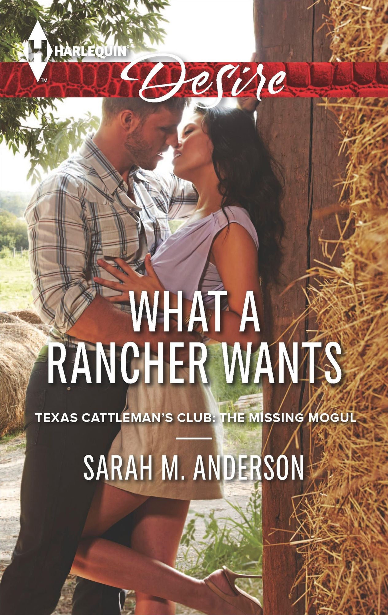 What a Rancher Wants (Harlequin Desire Series #2282)