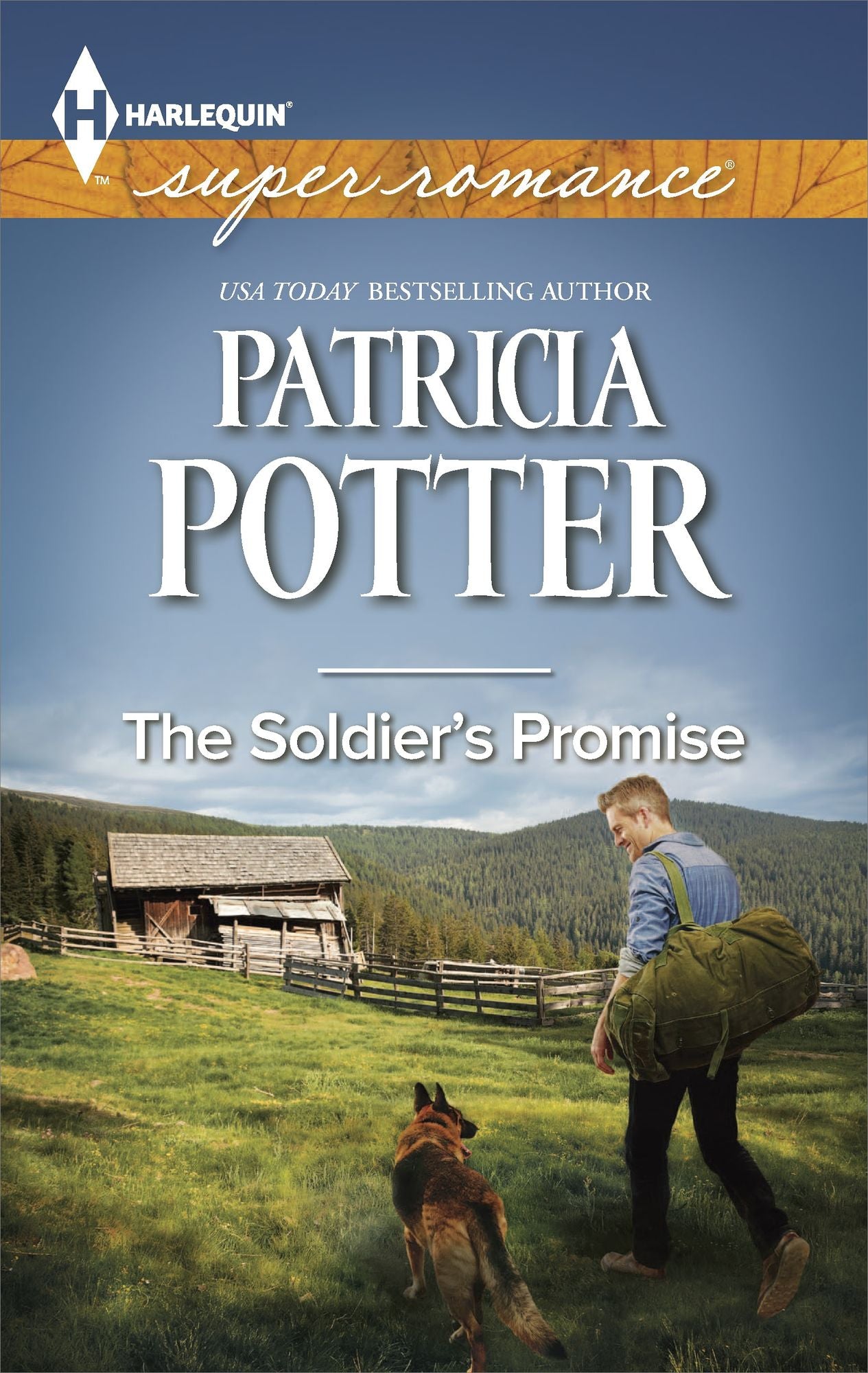 The Soldier's Promise (Harlequin Super Romance Series #1917)