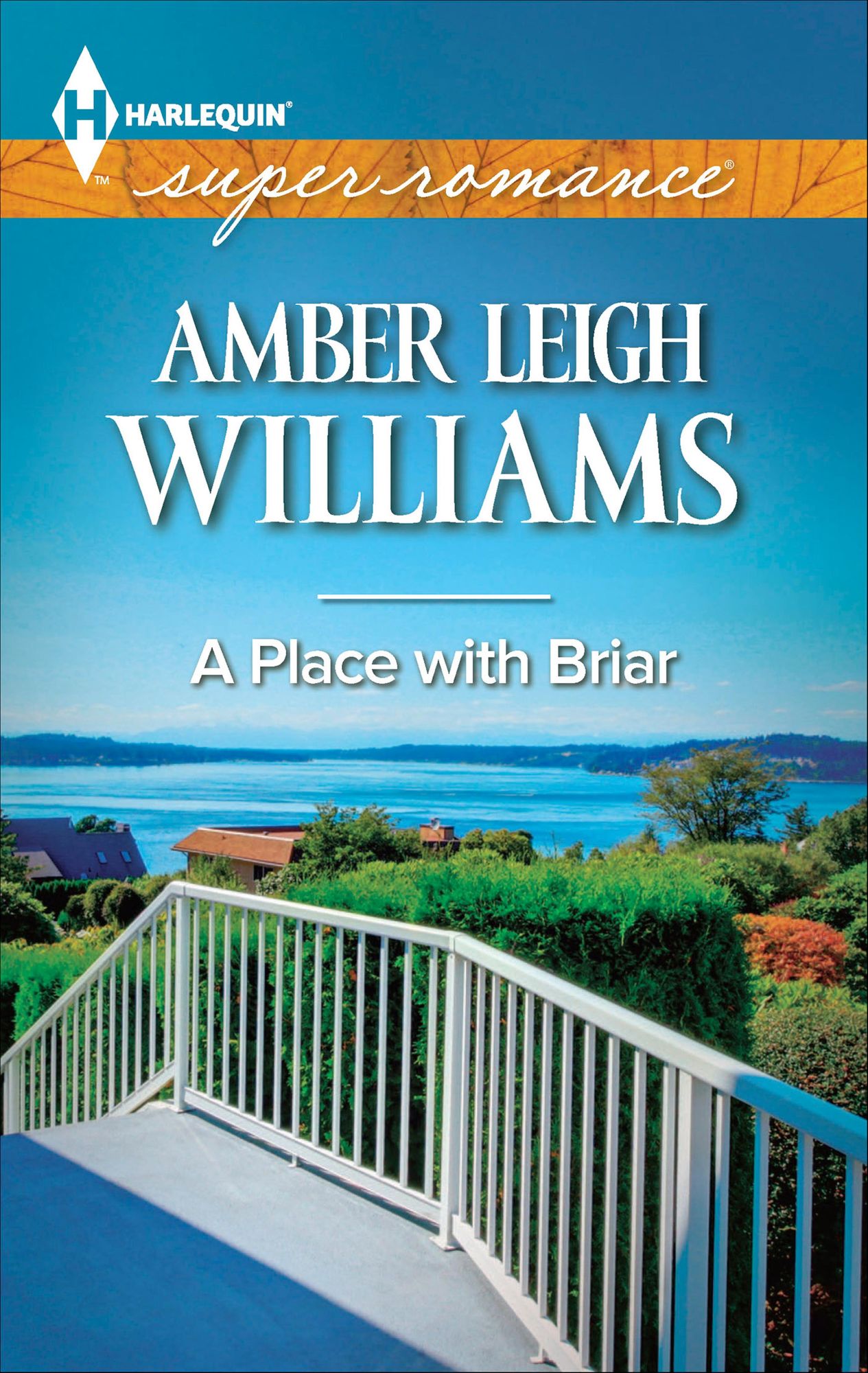 A Place with Briar (Harlequin Super Romance Series #1918)