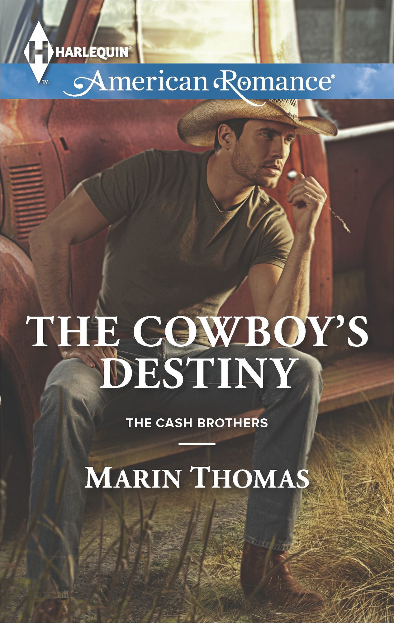 The Cowboy's Destiny (Harlequin American Romance Series #1498)
