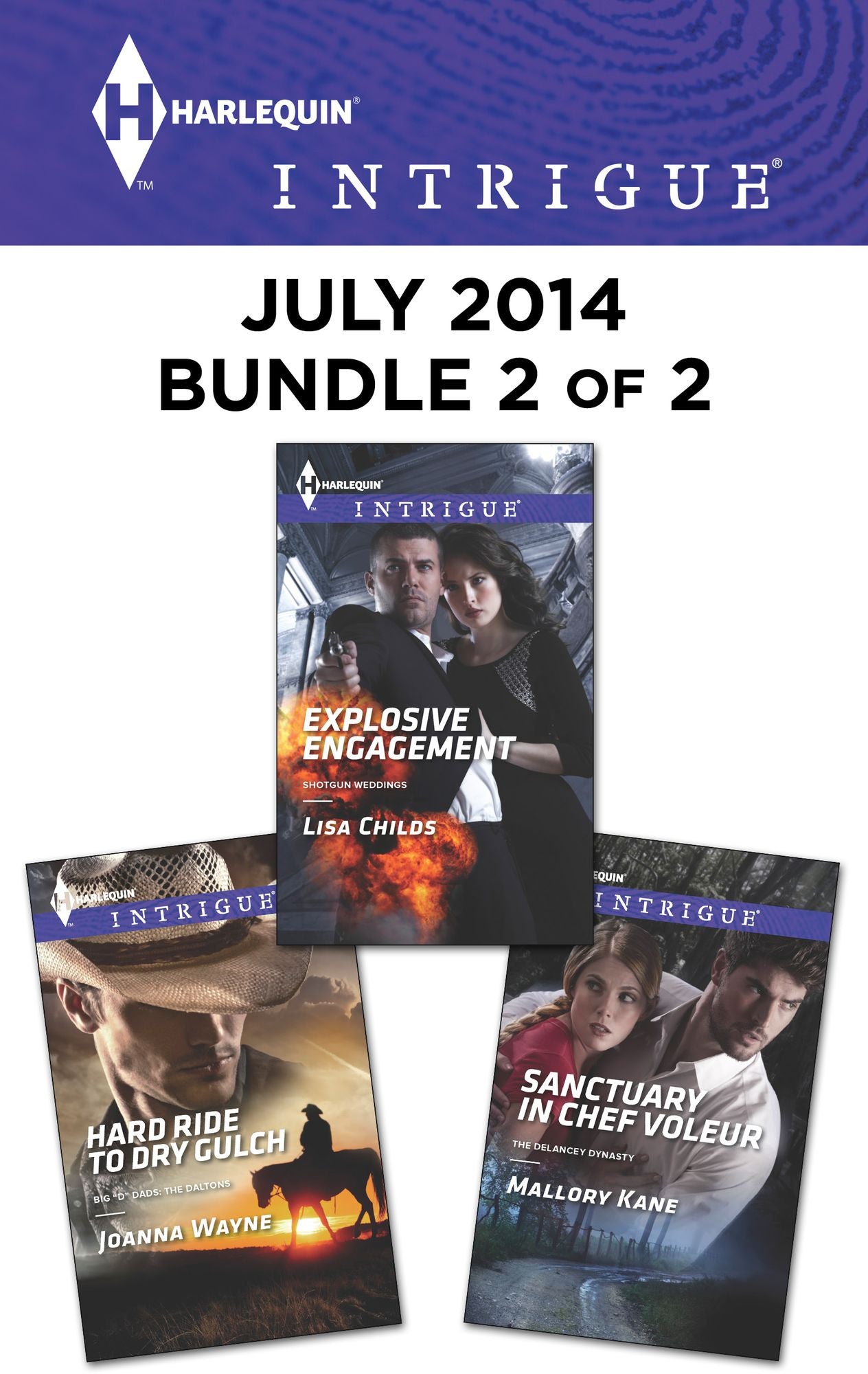 Harlequin Intrigue July 2014 - Bundle 2 of 2: Hard Ride to Dry GulchExplosive EngagementSanctuary in Chef Voleur