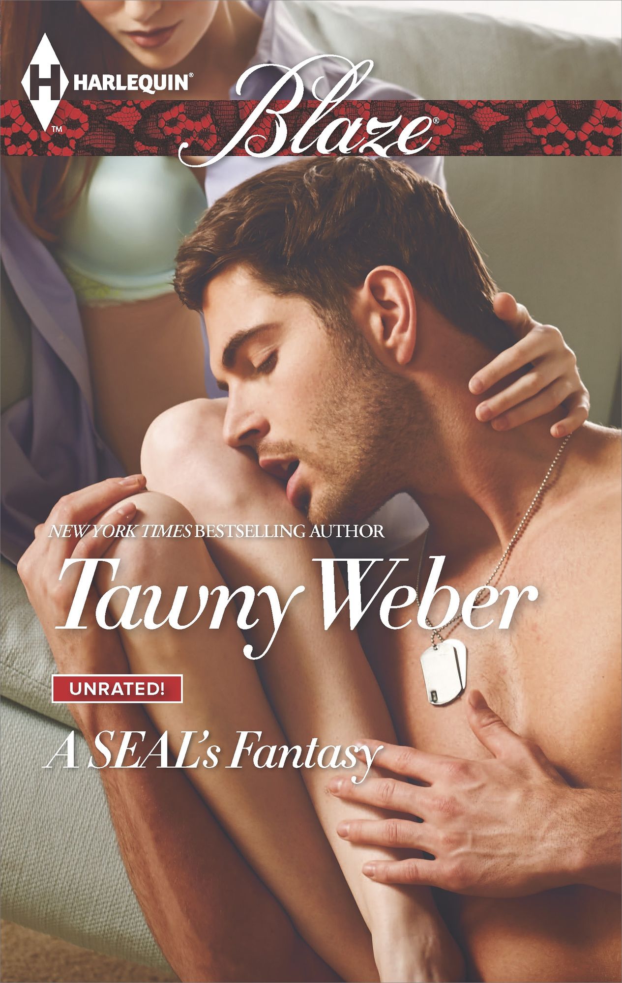 A SEAL's Fantasy (Harlequin Blaze Series #811)