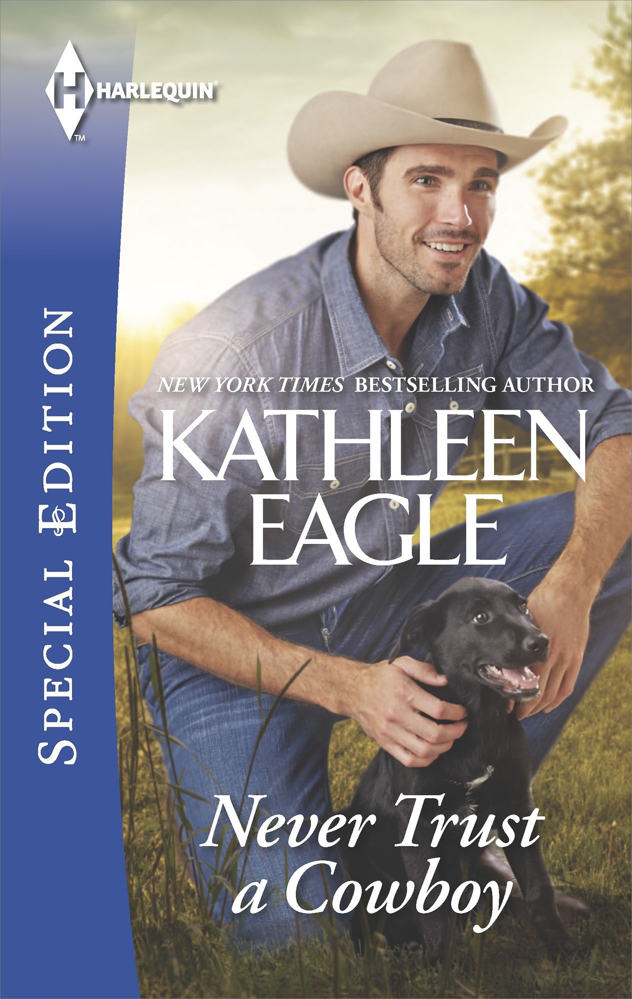 Never Trust a Cowboy (Harlequin Special Edition Series #2377)