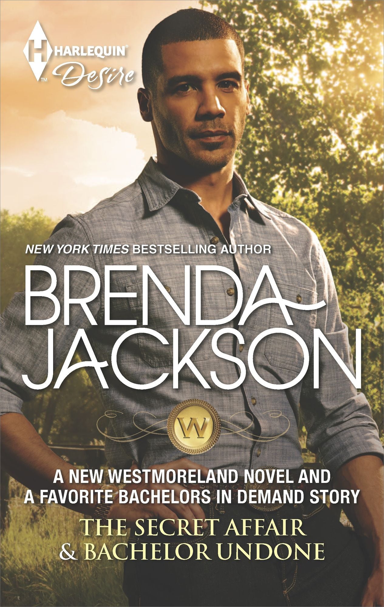 The Secret Affair & Bachelor Undone: The Secret AffairBachelor Undone