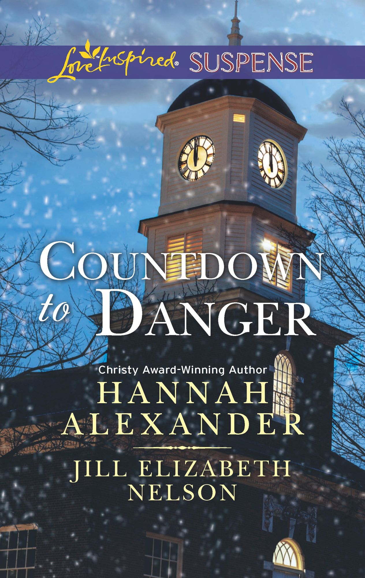 Countdown to Danger: Alive After New YearNew Year's Target (Love Inspired Suspense Series)