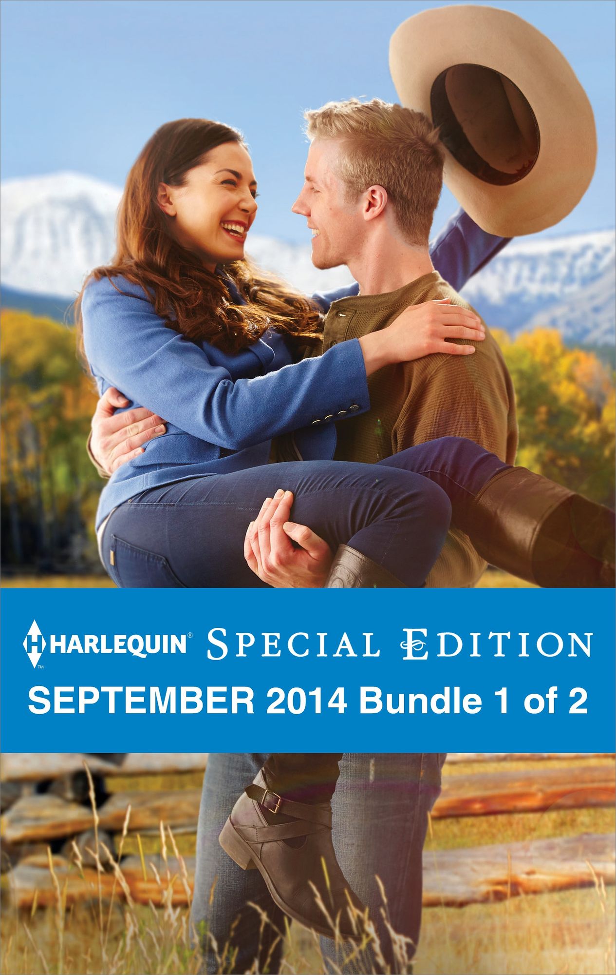 Harlequin Special Edition September 2014 - Bundle 1 of 2: Maverick for HireA Match Made by BabyOnce Upon a Bride