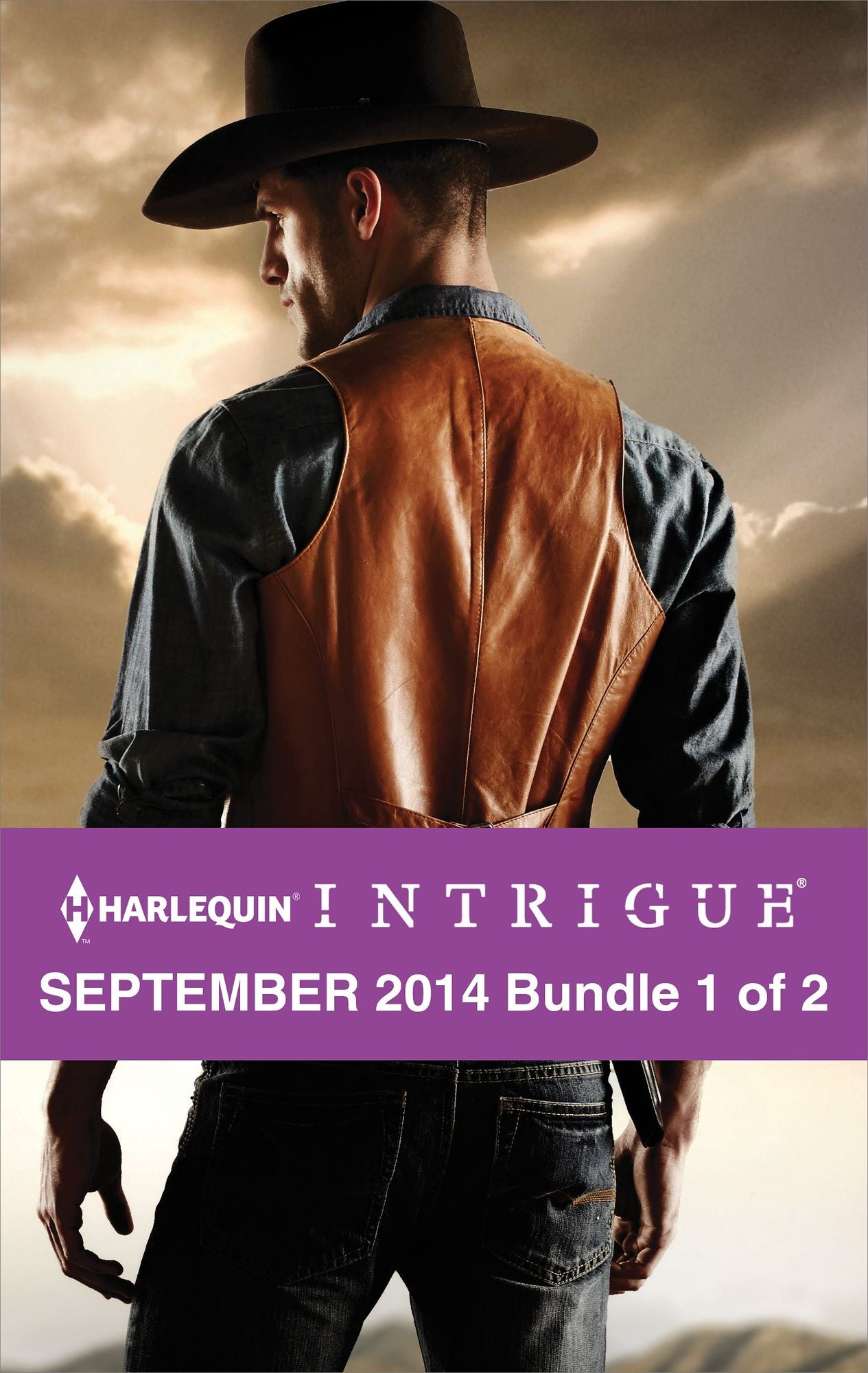Harlequin Intrigue September 2014 - Bundle 1 of 2: Maverick SheriffDead Man's CurveSnow Blind