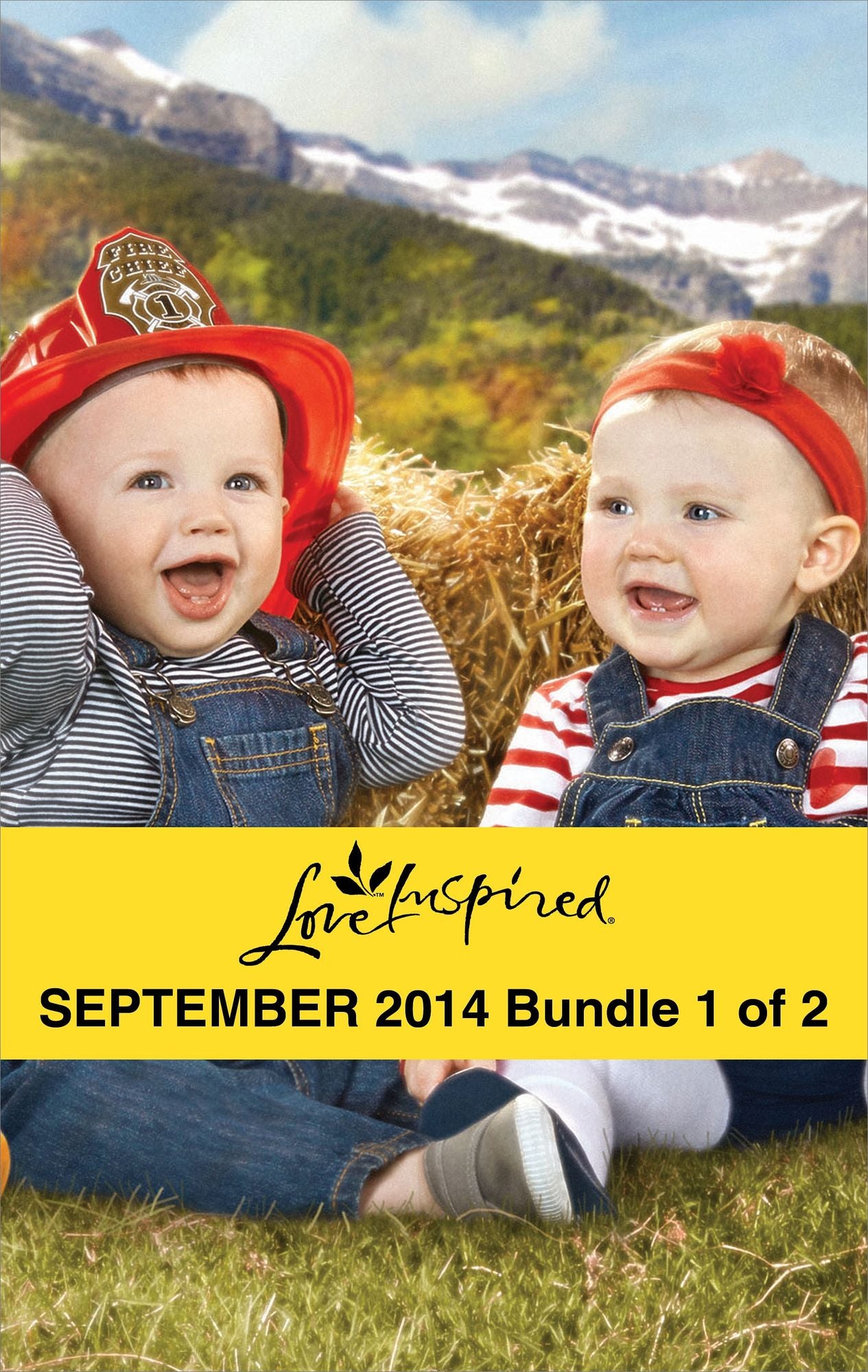 Love Inspired September 2014 - Bundle 1 of 2: Her Montana TwinsSmall-Town BillionaireStranded with the Rancher