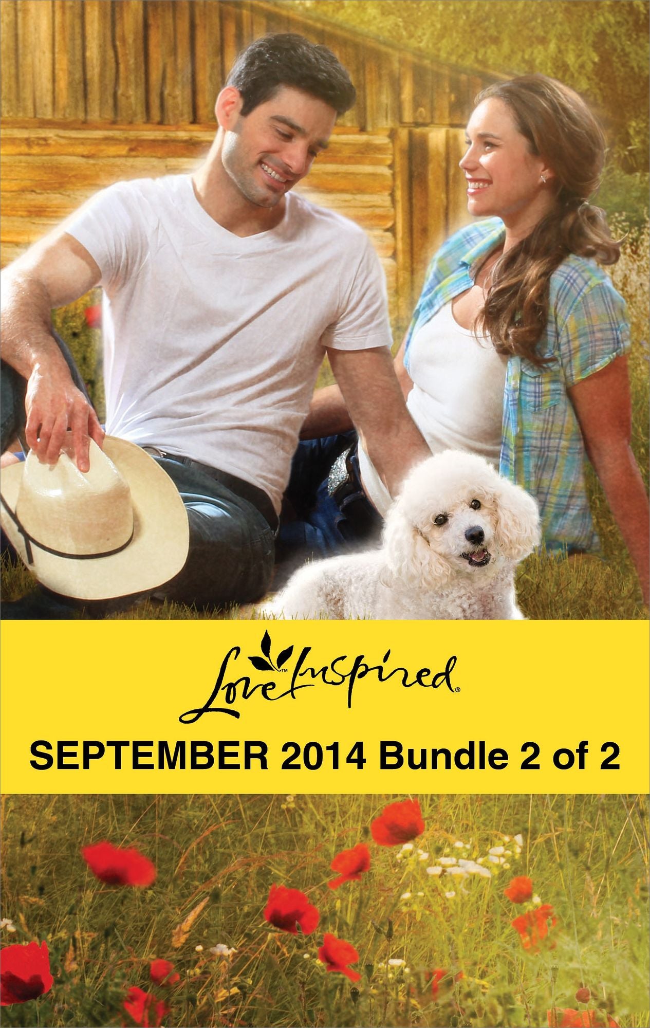 Love Inspired September 2014 - Bundle 2 of 2: Her Hometown HeroThe Deputy's New FamilyRescuing the Texan's Heart