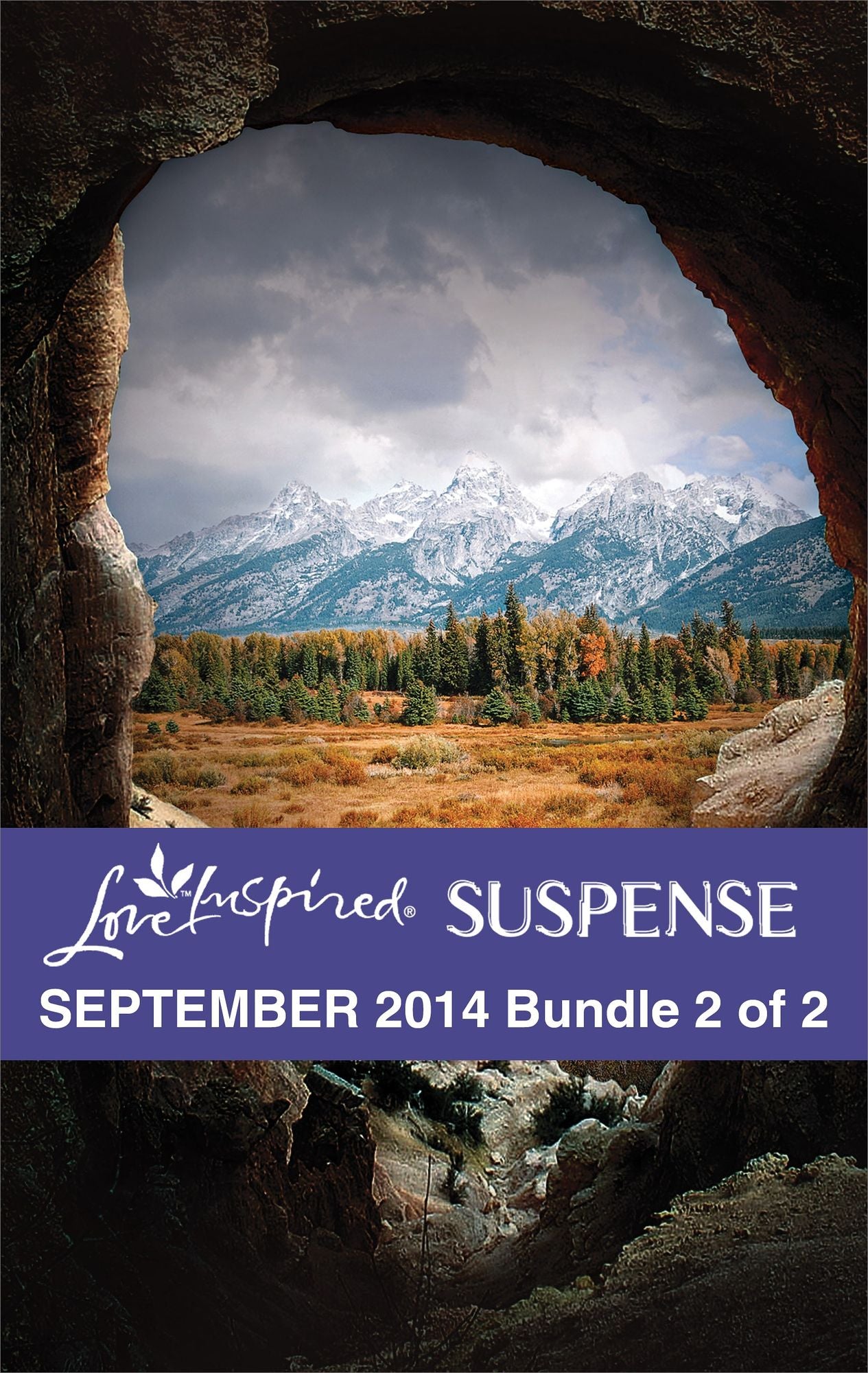 Love Inspired Suspense September 2014 - Bundle 2 of 2: Wilderness TargetSunken TreasureRancher Under Fire