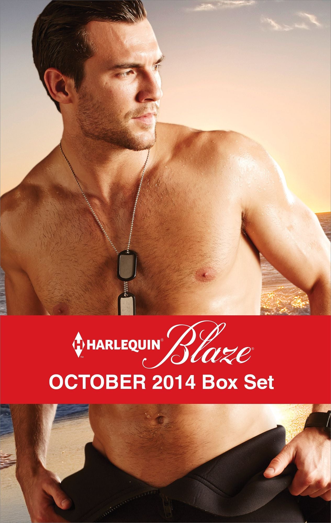 Harlequin Blaze October 2014 Box Set: Wicked NightsSome Like It HotterClose UpTriple Threat
