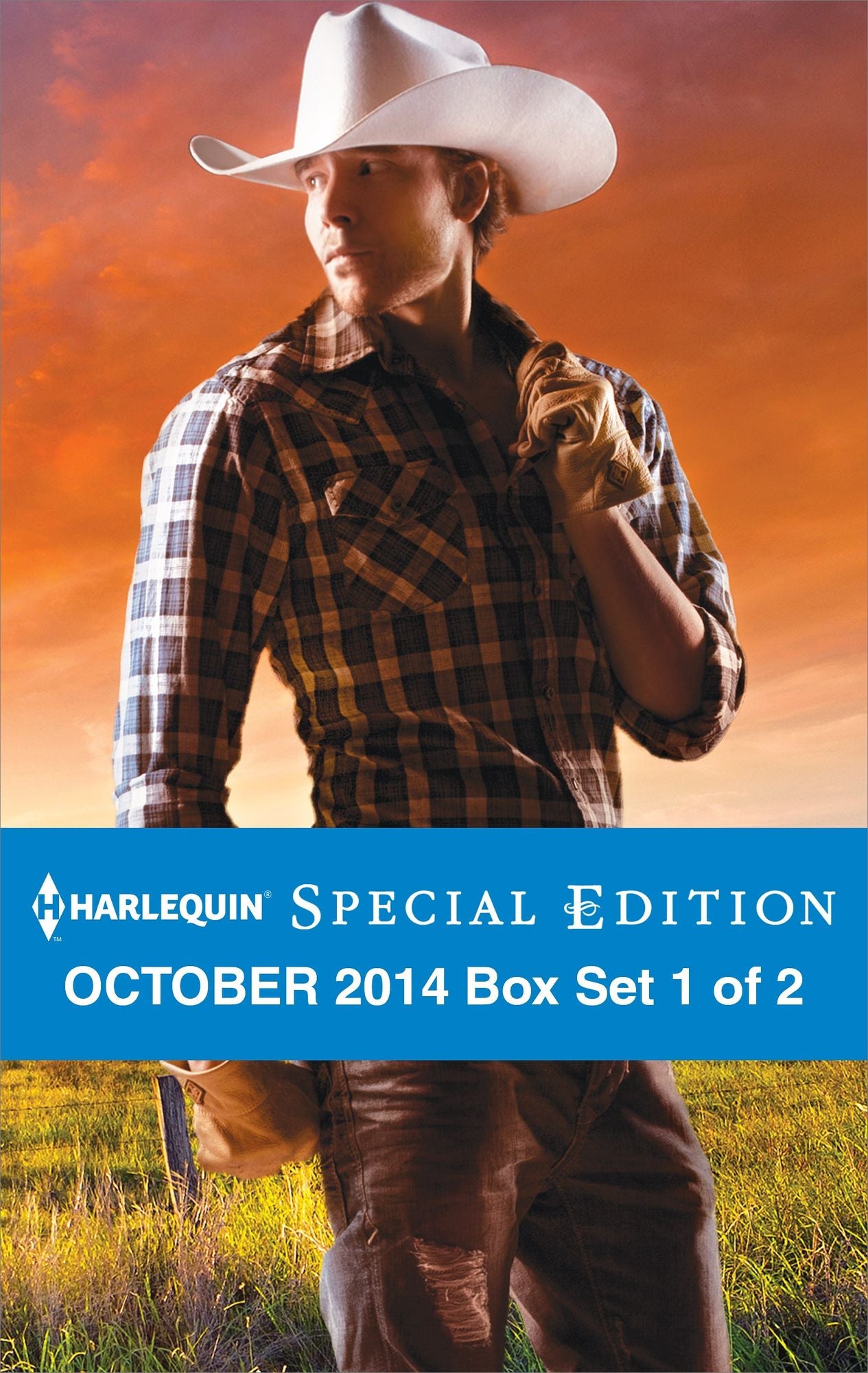 Harlequin Special Edition October 2014 - Box Set 1 of 2: Texas BornDiamond in the RuffThe Rancher Who Took Her In