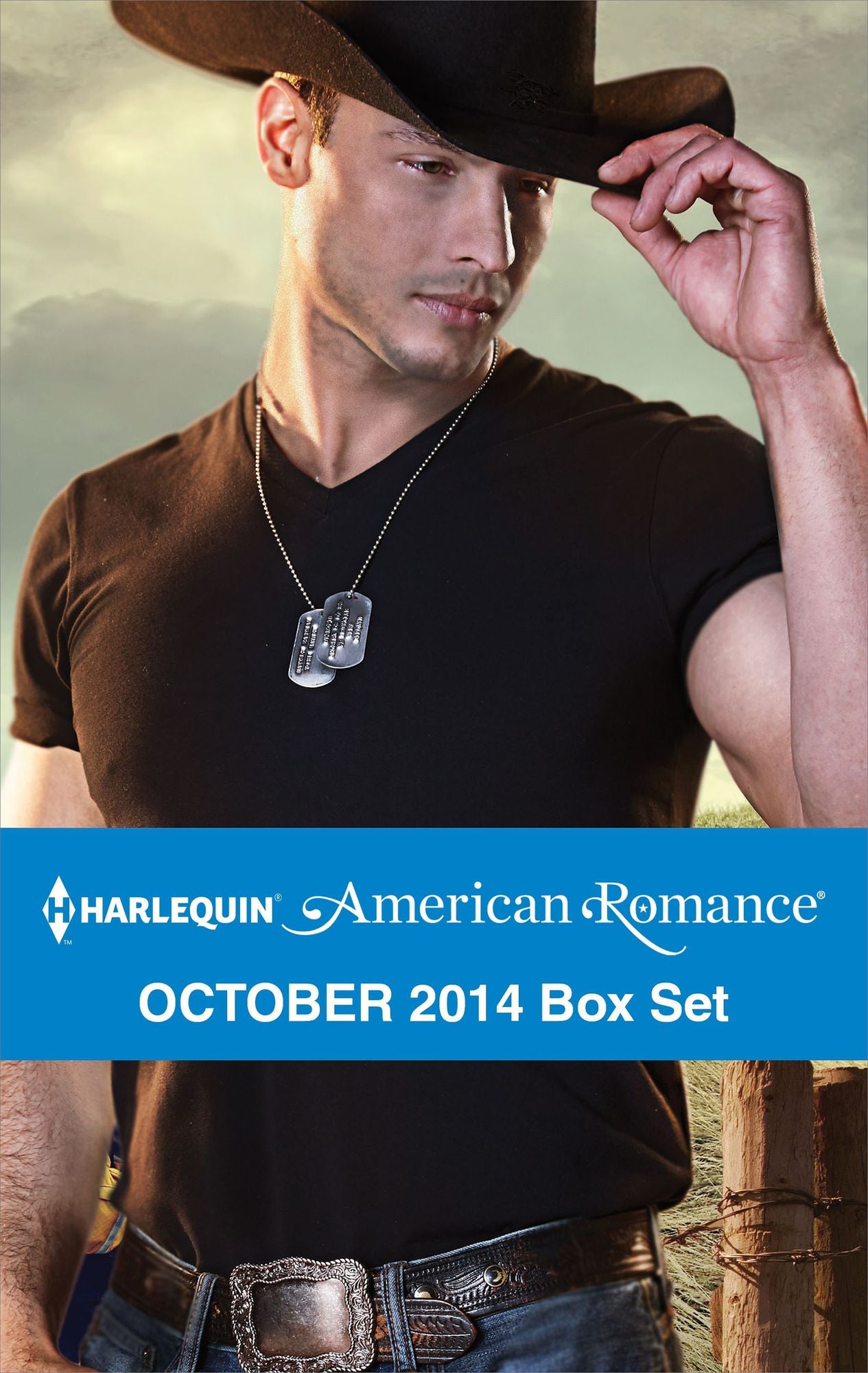 Harlequin American Romance October 2014 Box Set: The Cowboy SEALThe Texan's Surprise SonHis Favorite CowgirlA Rancher's Redemption