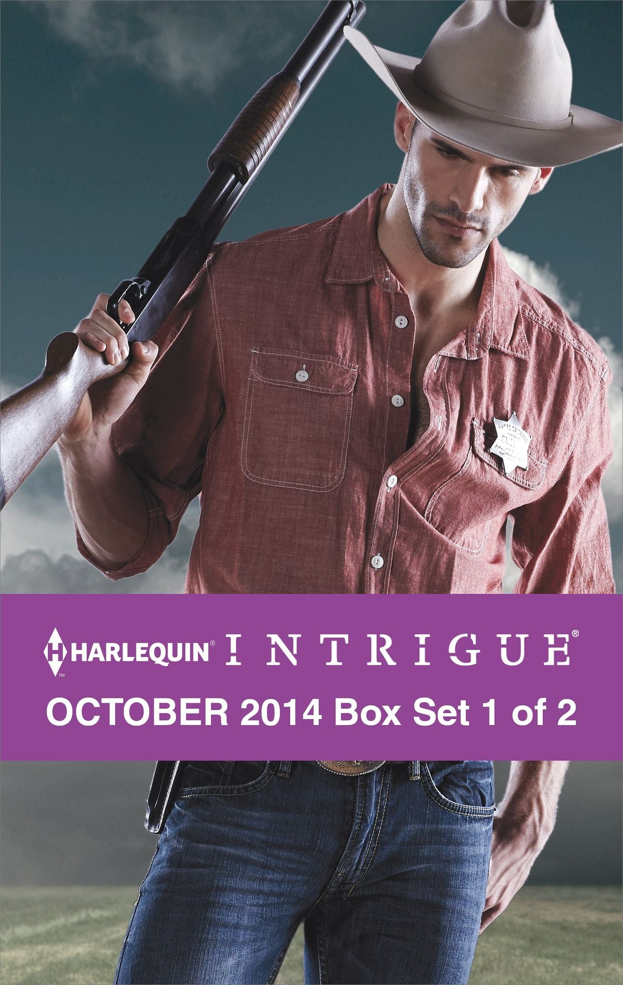 Harlequin Intrigue October 2014 - Box Set 1 of 2: Cowboy Behind the BadgeThe HillChristmas at Thunder Horse Ranch