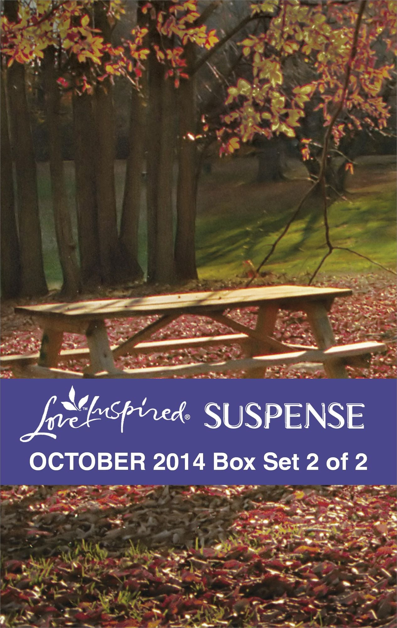 Love Inspired Suspense October 2014 - Box Set 2 of 2: Down to the WireCovert ChristmasKeeping Watch