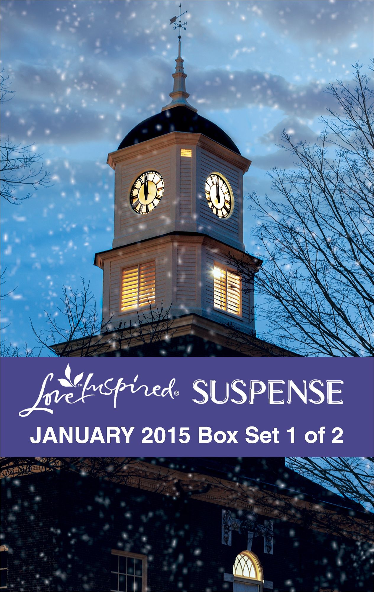Love Inspired Suspense January 2015 - Box Set 1 of 2: Countdown to DangerShattered HavenUndercurrent