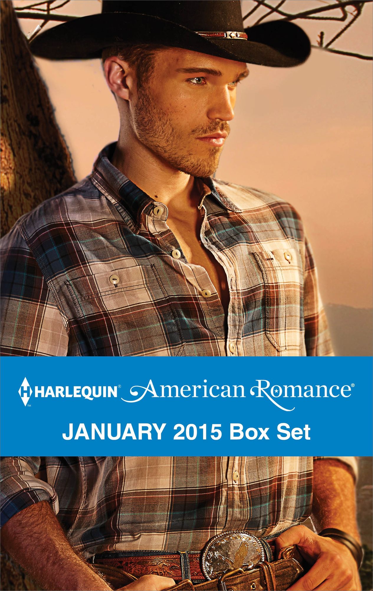 Harlequin American Romance January 2015 Box Set: A Cowboy of Her OwnThe New CowboyTexas MomMontana Vet