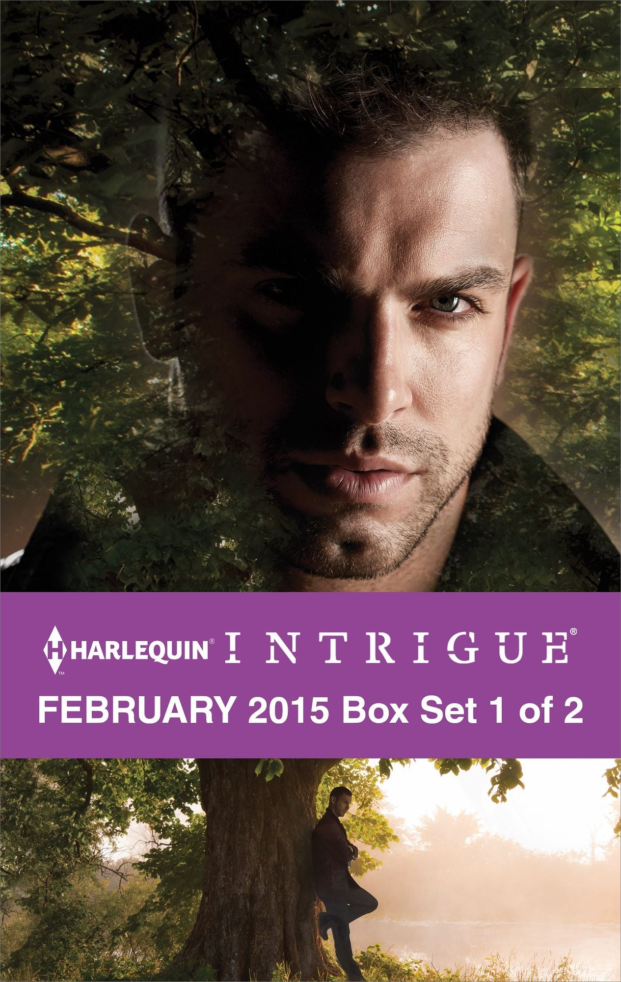 Harlequin Intrigue February 2015 - Box Set 1 of 2: ConfessionsDisarming DetectiveHard Target