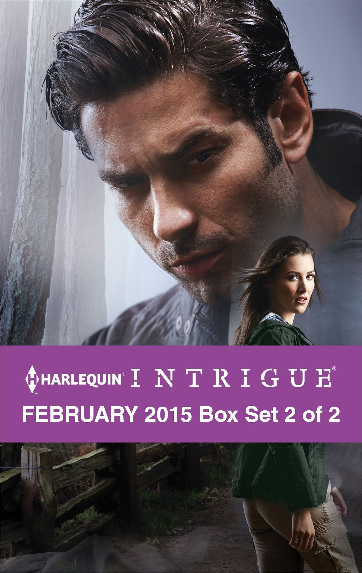 Harlequin Intrigue February 2015 - Box Set 2 of 2: Heart of a HeroThe CattlemanCountermeasures