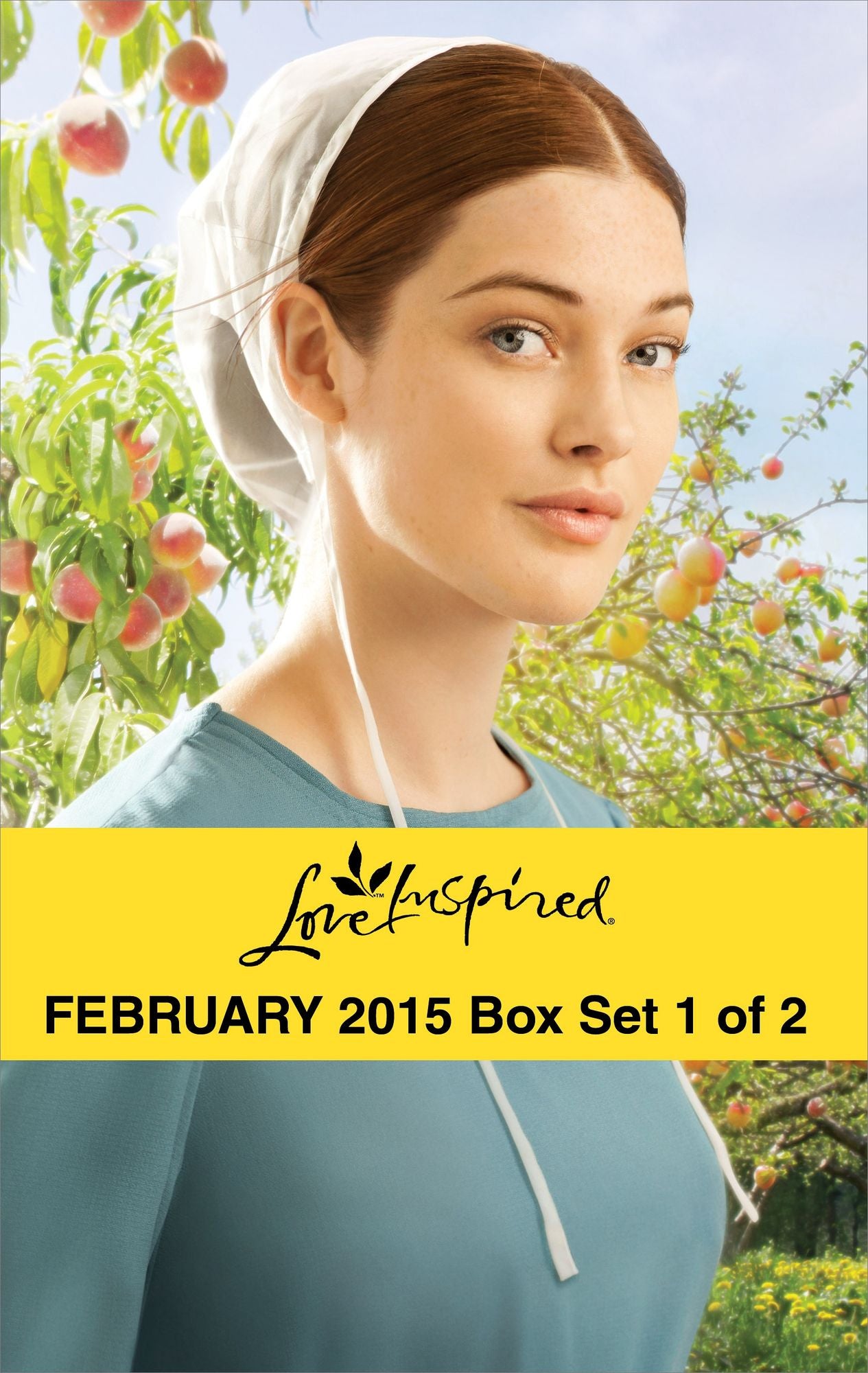 Love Inspired February 2015 - Box Set 1 of 2: A Match for AddyHometown ValentineHealing the Widower's HeartBig Sky Homecoming