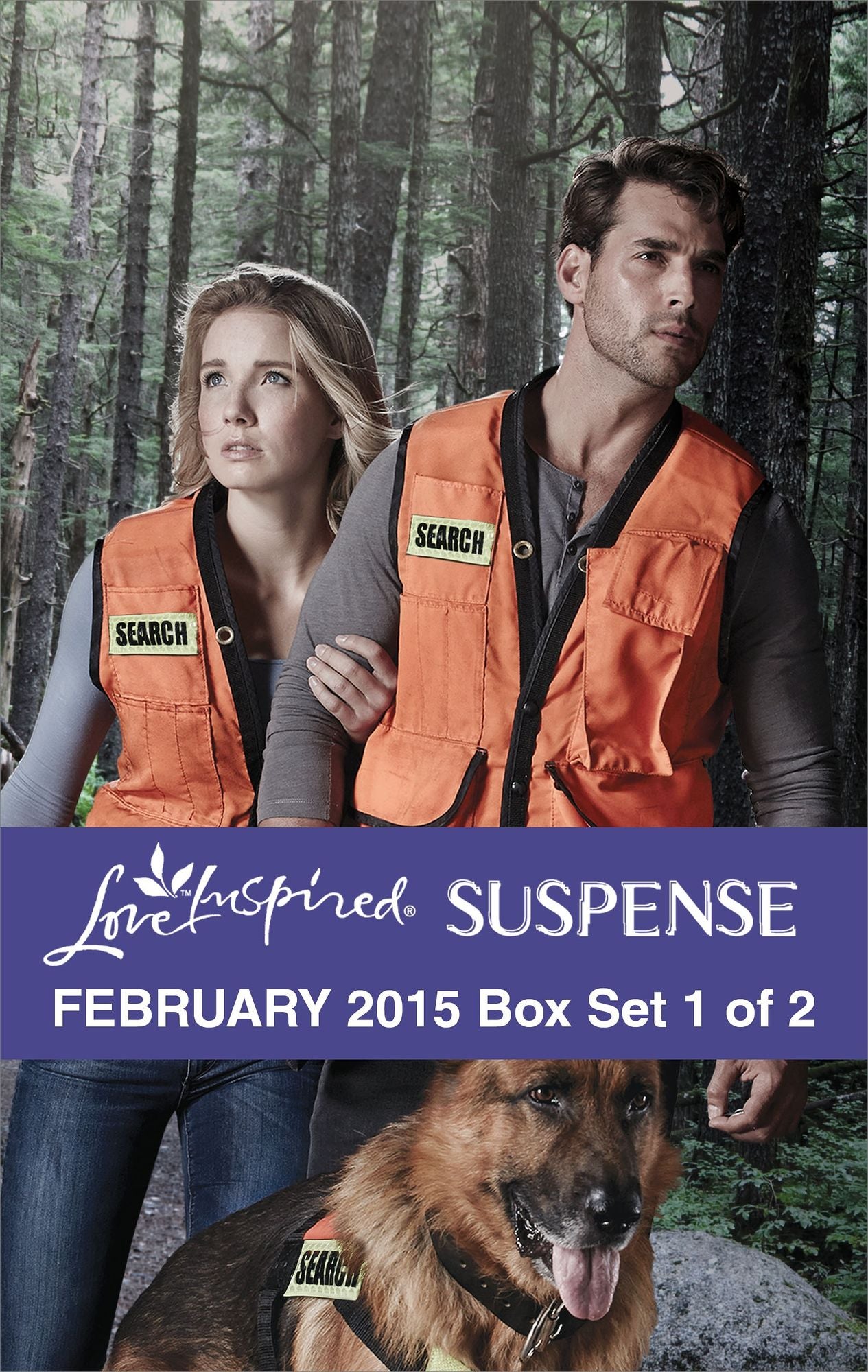 Love Inspired Suspense February 2015 - Box Set 1 of 2: To Save Her ChildTakenSilent Hunter