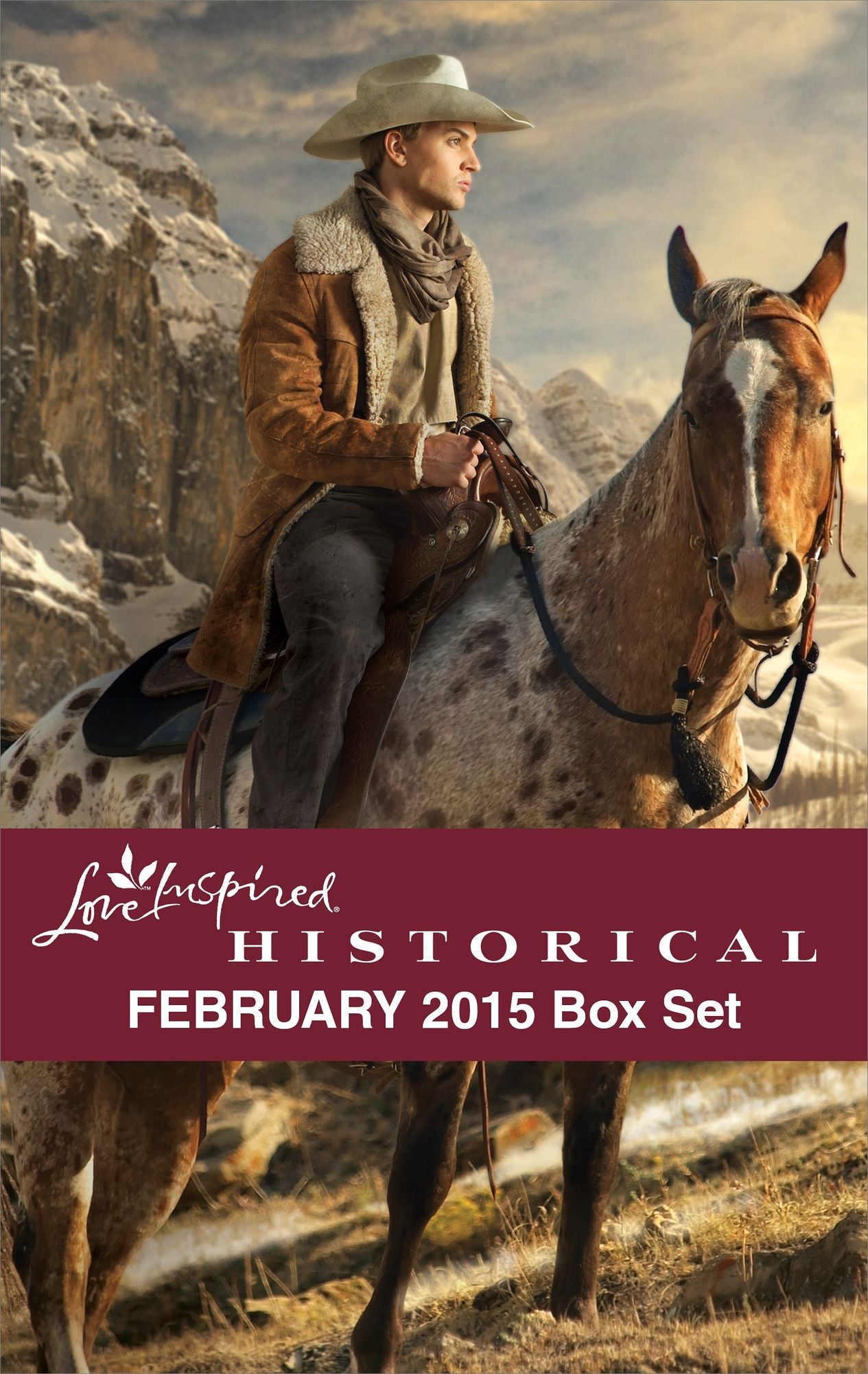 Love Inspired Historical February 2015 Box Set: Big Sky HomecomingThe Engagement BargainSheltered by the WarriorA Daughter's Return