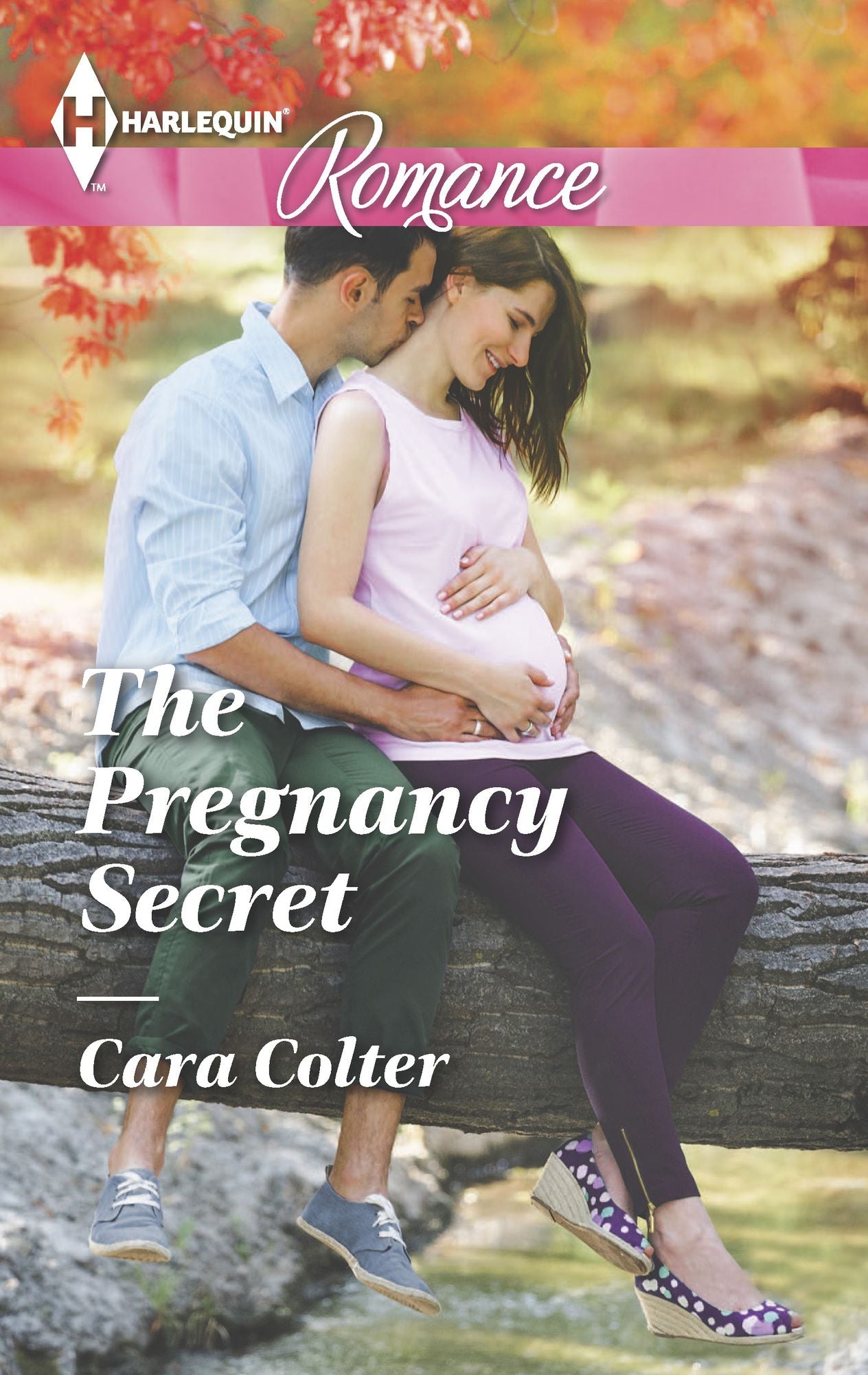 The Pregnancy Secret (Harlequin Romance Series #4471)