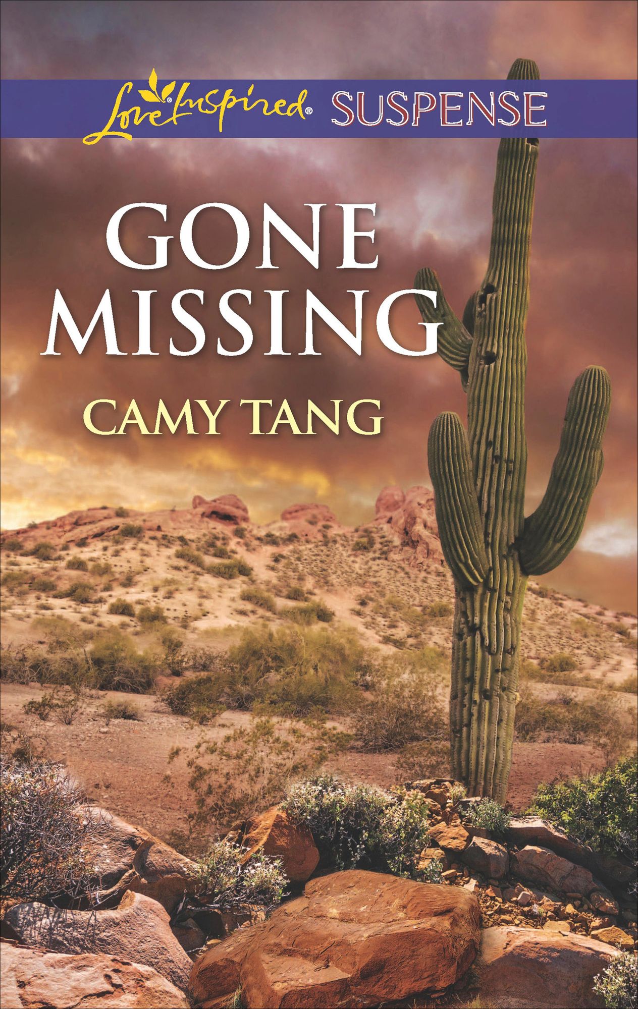 Gone Missing (Love Inspired Suspense Series)