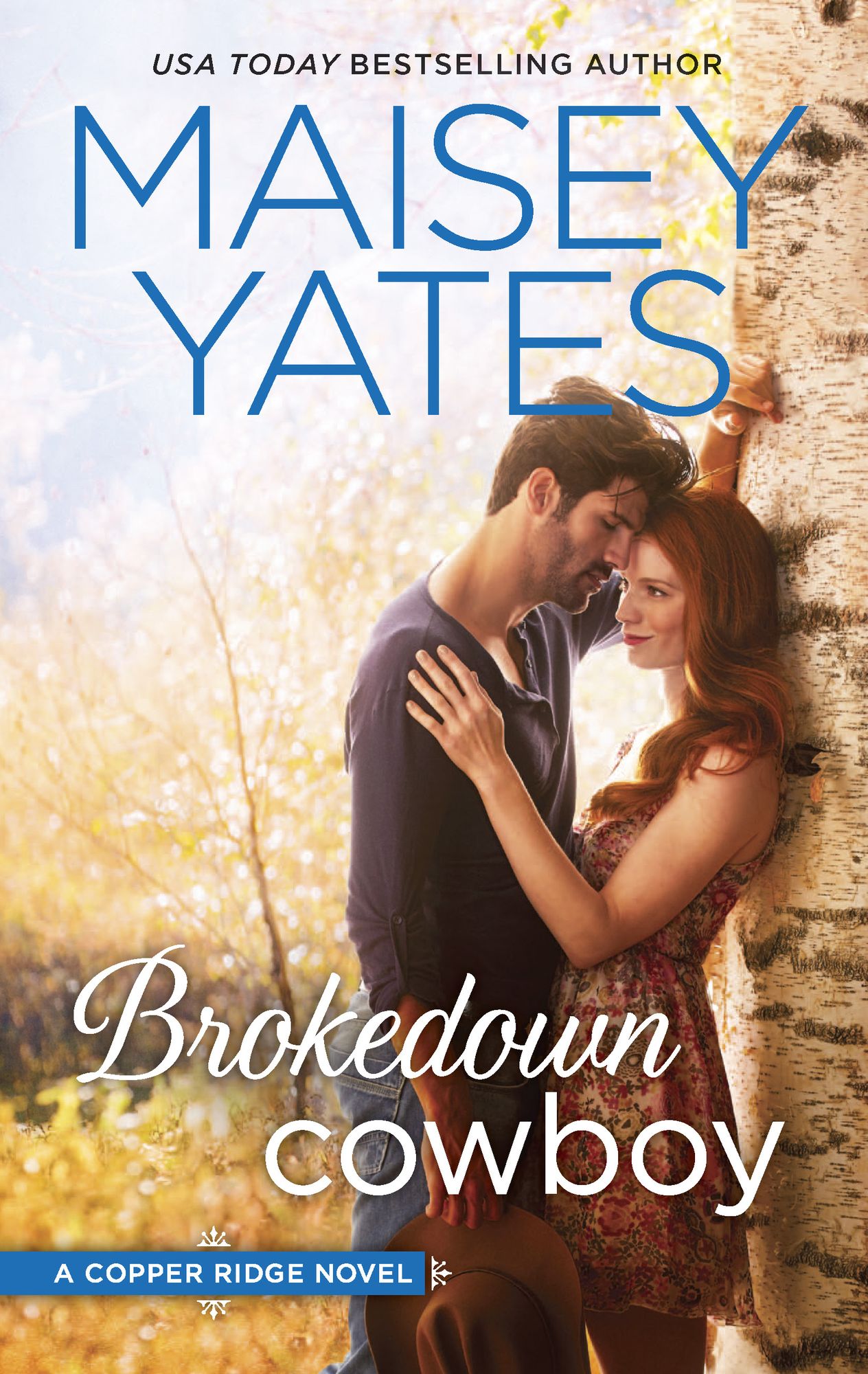 Brokedown Cowboy (Copper Ridge: The Garretts Series #2)