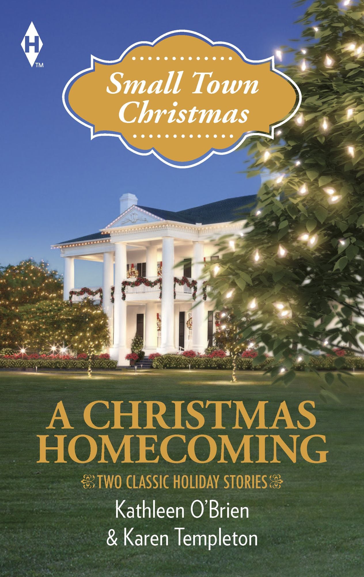 A Christmas Homecoming: Christmas in Hawthorn BayHusband Under Construction