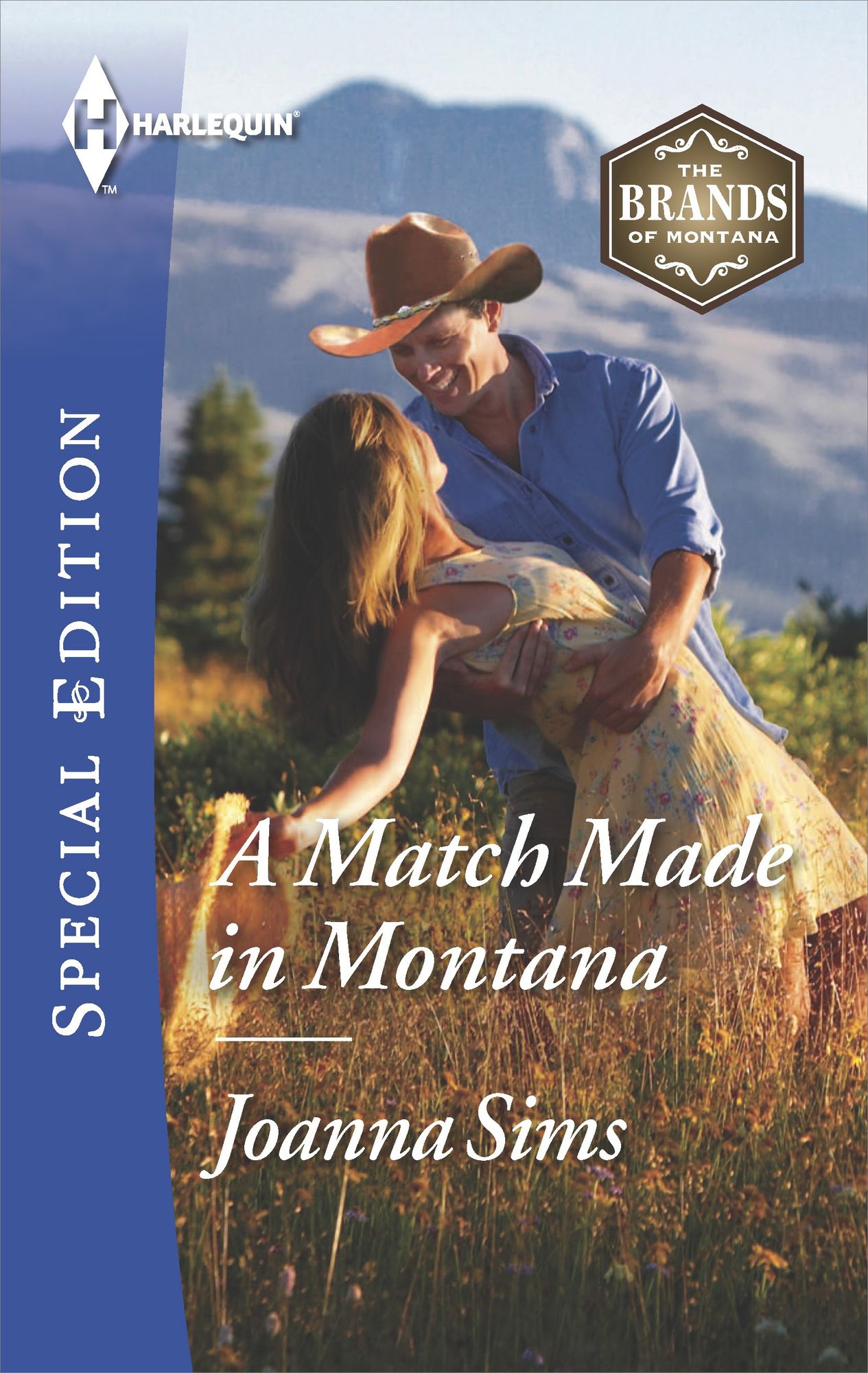 A Match Made in Montana (Harlequin Special Edition Series #2404)