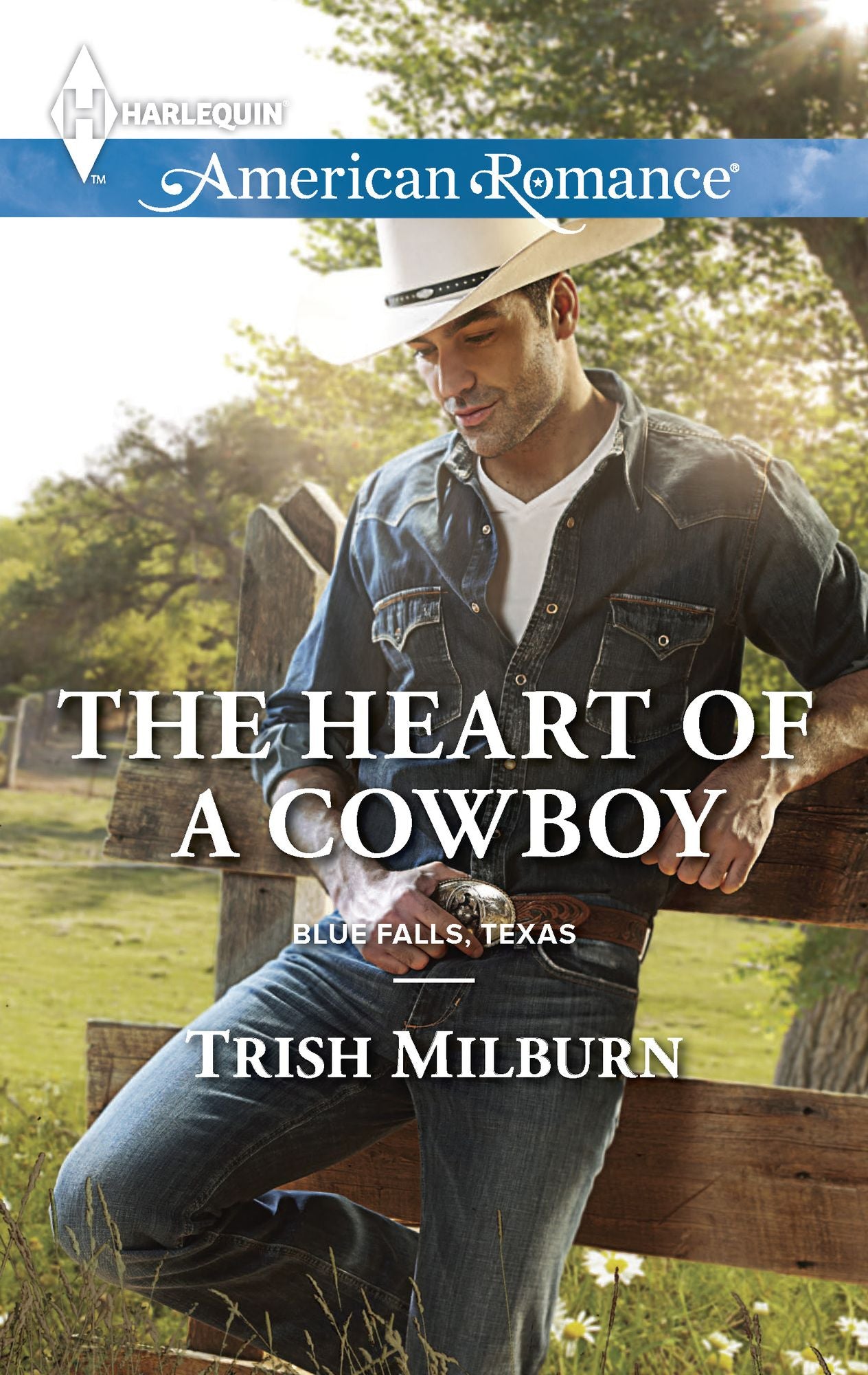 The Heart of a Cowboy (Harlequin American Romance Series #1555)