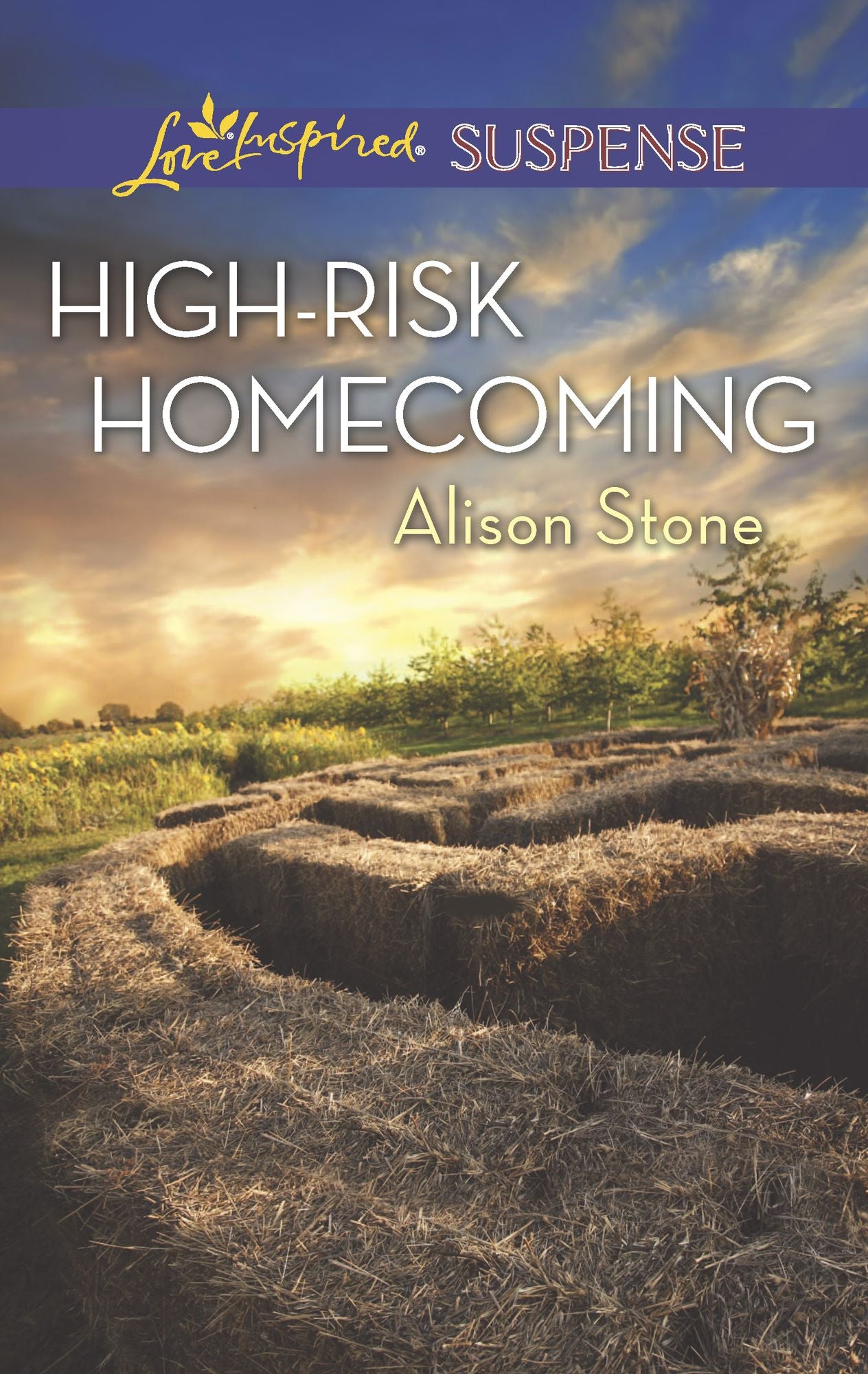 High-Risk Homecoming (Love Inspired Suspense Series)