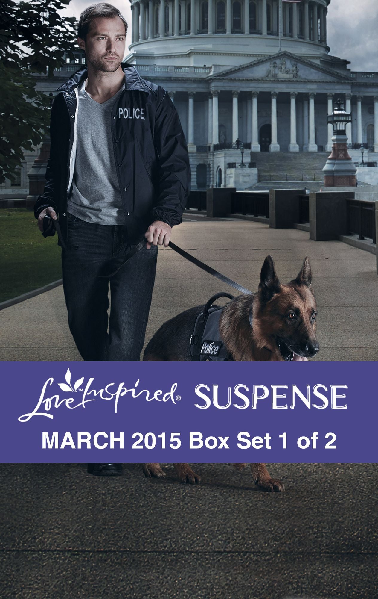 Love Inspired Suspense March 2015 - Box Set 1 of 2: Protection DetailHidden AgendaBroken Silence