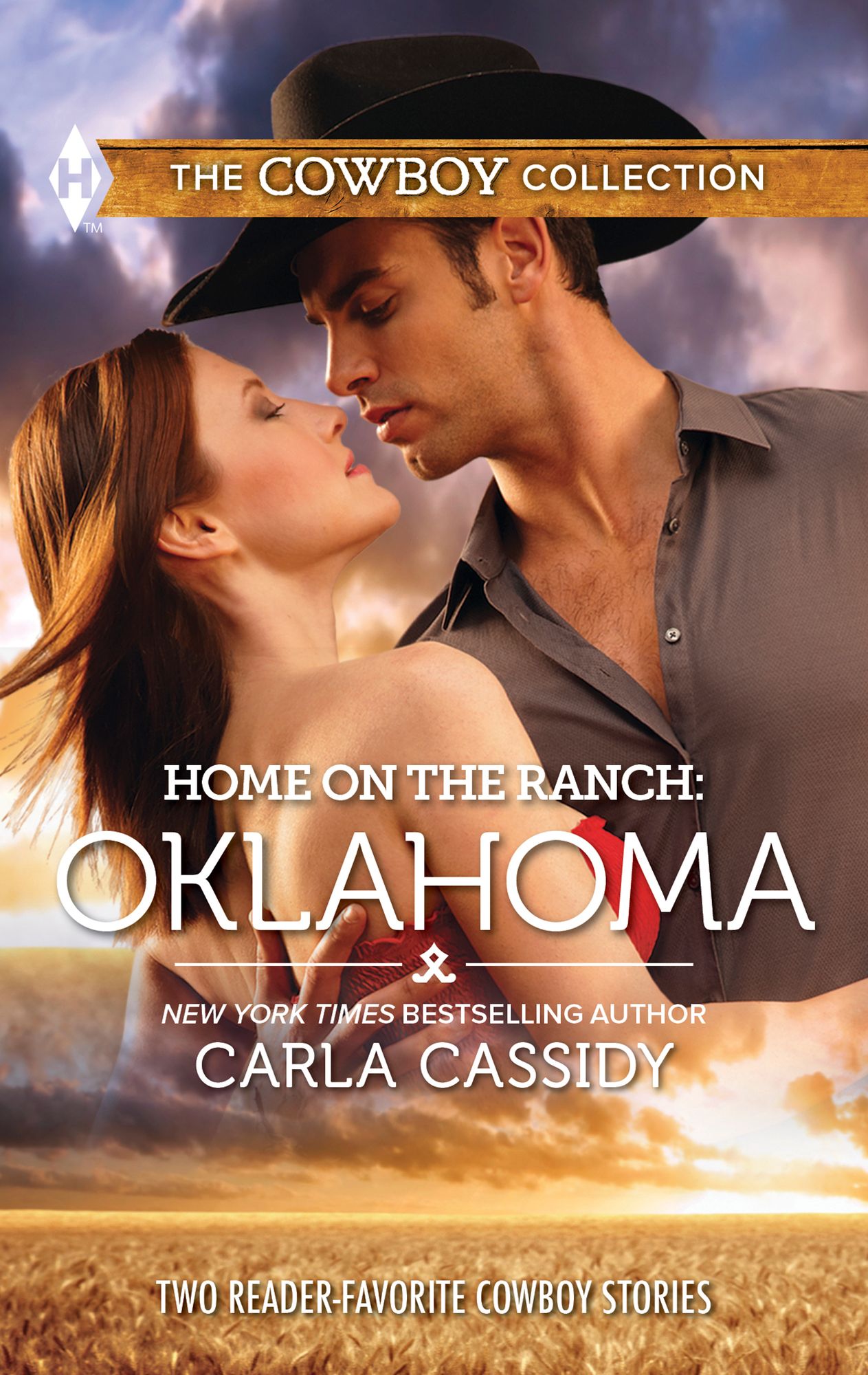 Home on the Ranch: Oklahoma: Defending the Rancher's DaughterThe Rancher Bodyguard