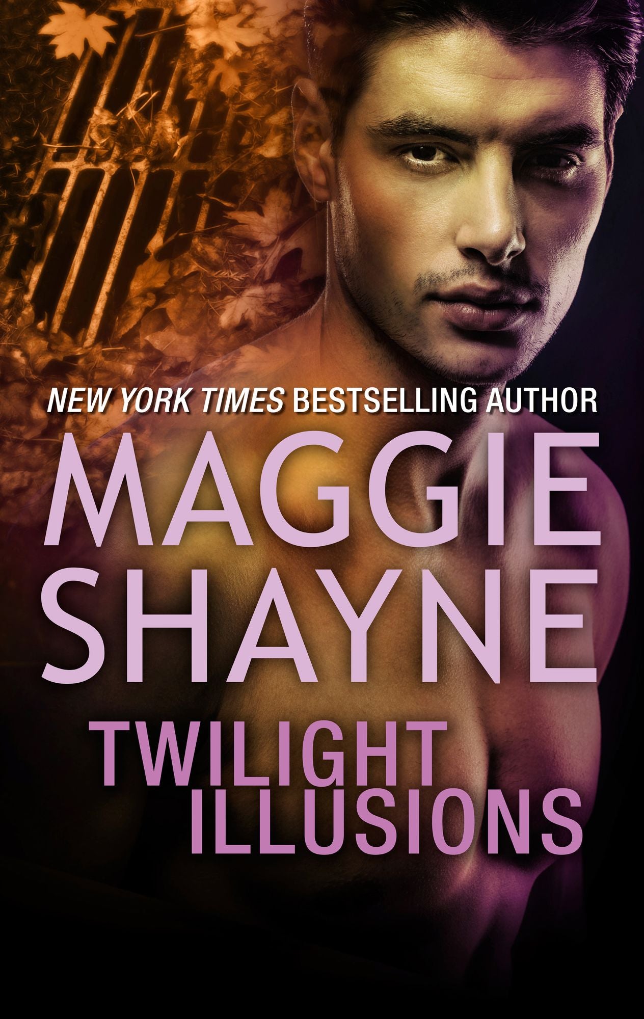 Twilight Illusions (with bonus novella, Beyond Twilight) (Wings in the Night Series #3)