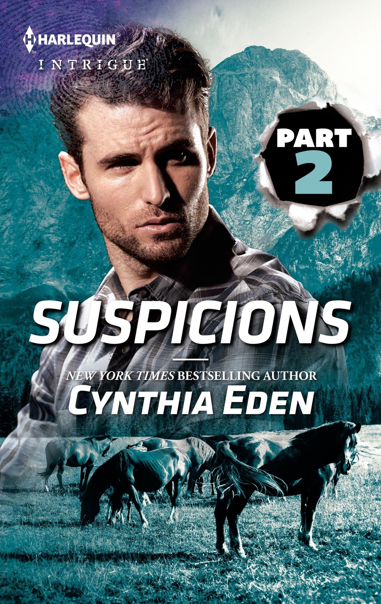 Suspicions Part 2 of 3