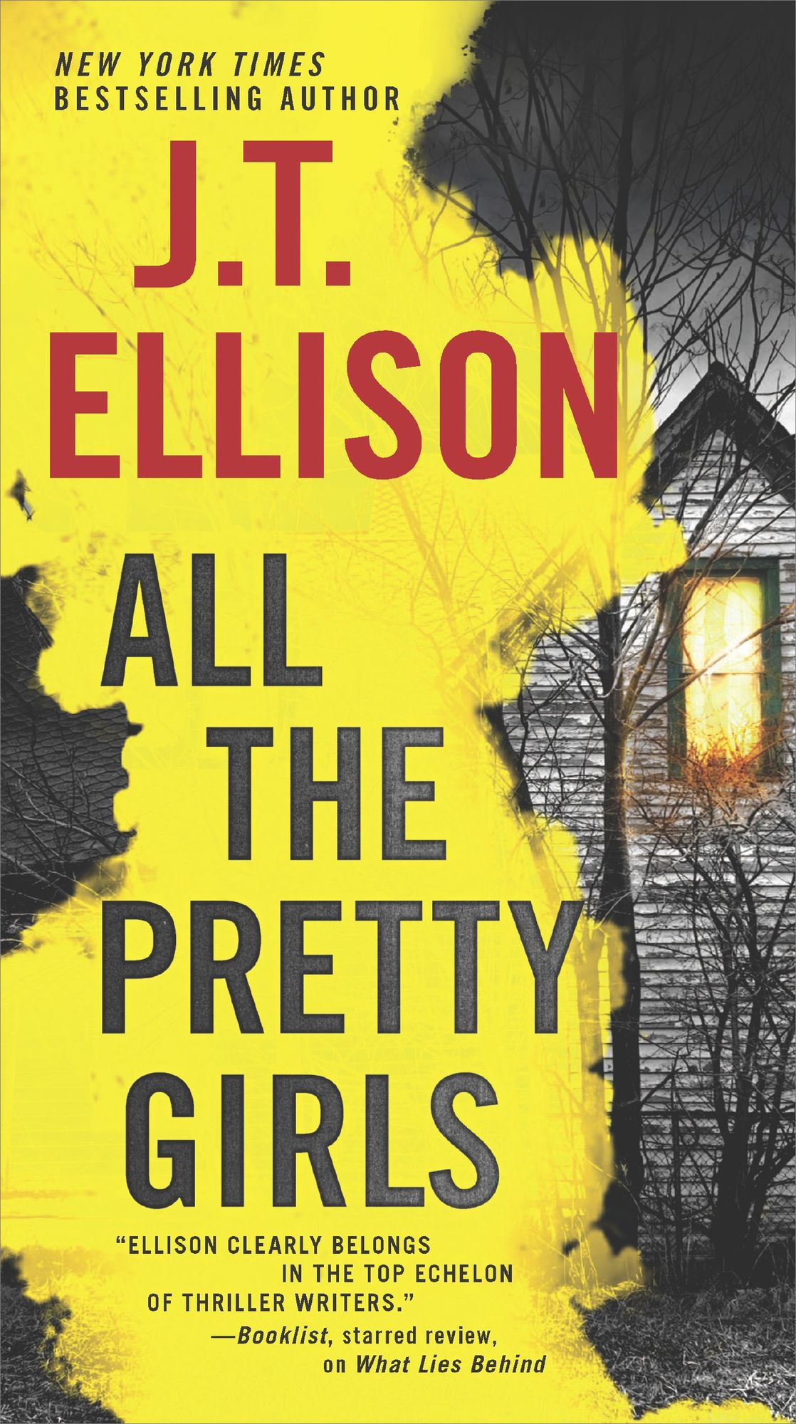 All the Pretty Girls: A Thrilling suspense novel