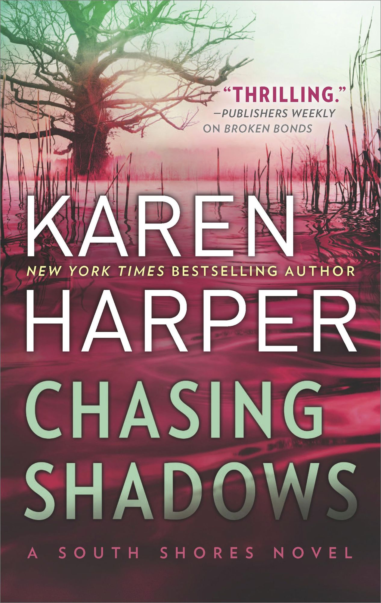 Chasing Shadows (South Shores Series #1)
