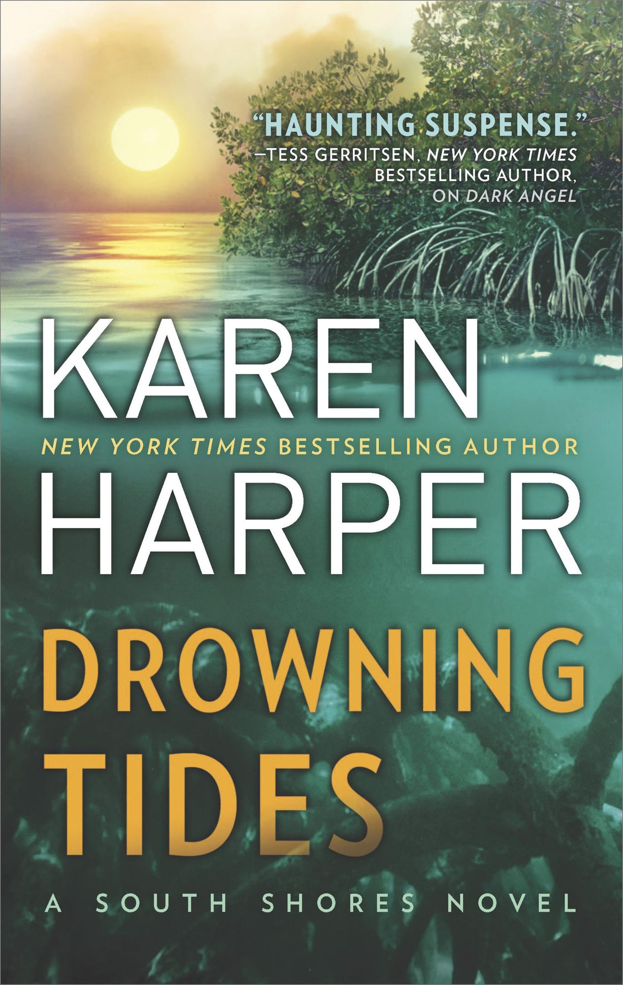 Drowning Tides (South Shores Series #2)