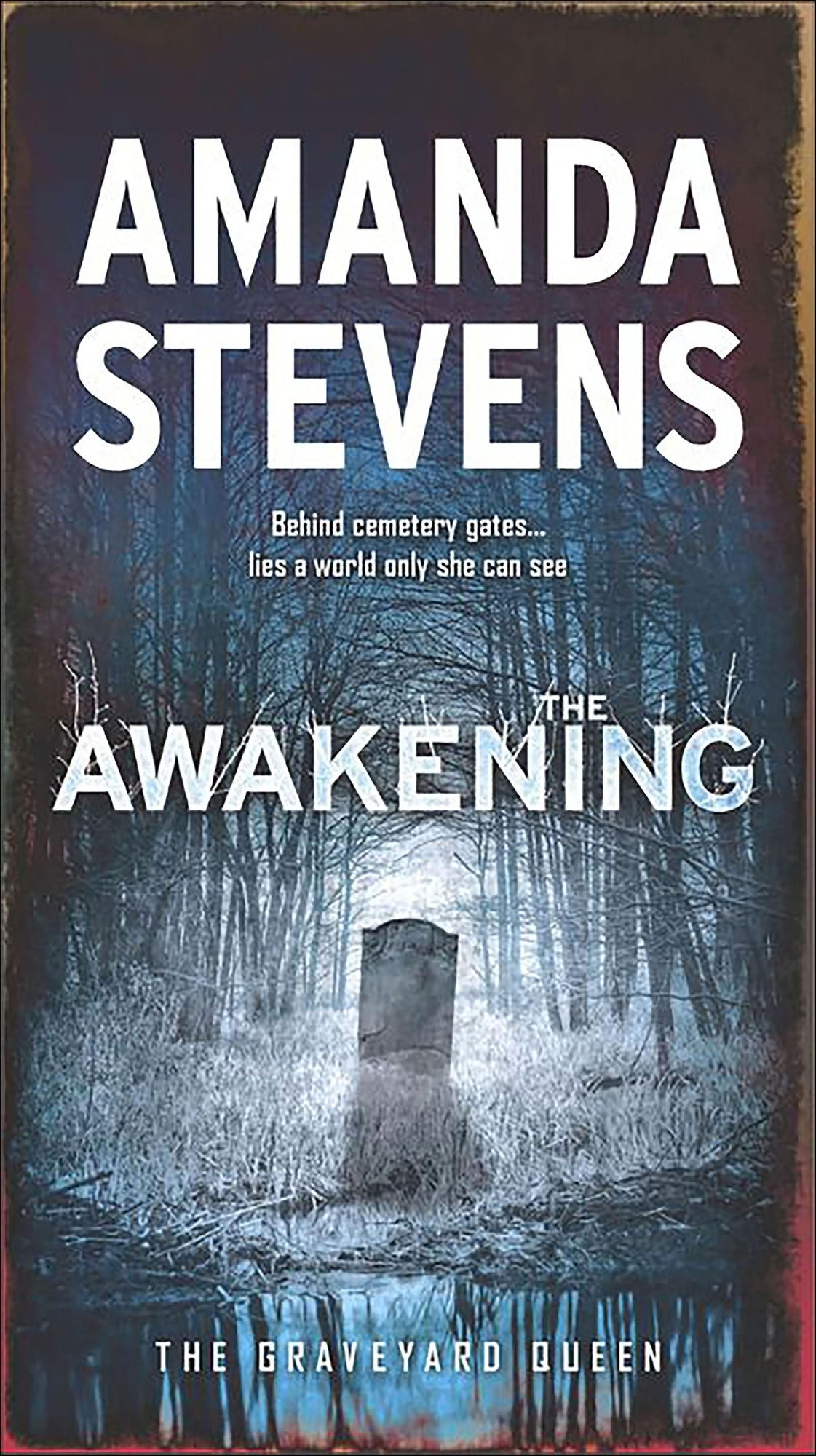 The Awakening: A Paranormal Romance Novel