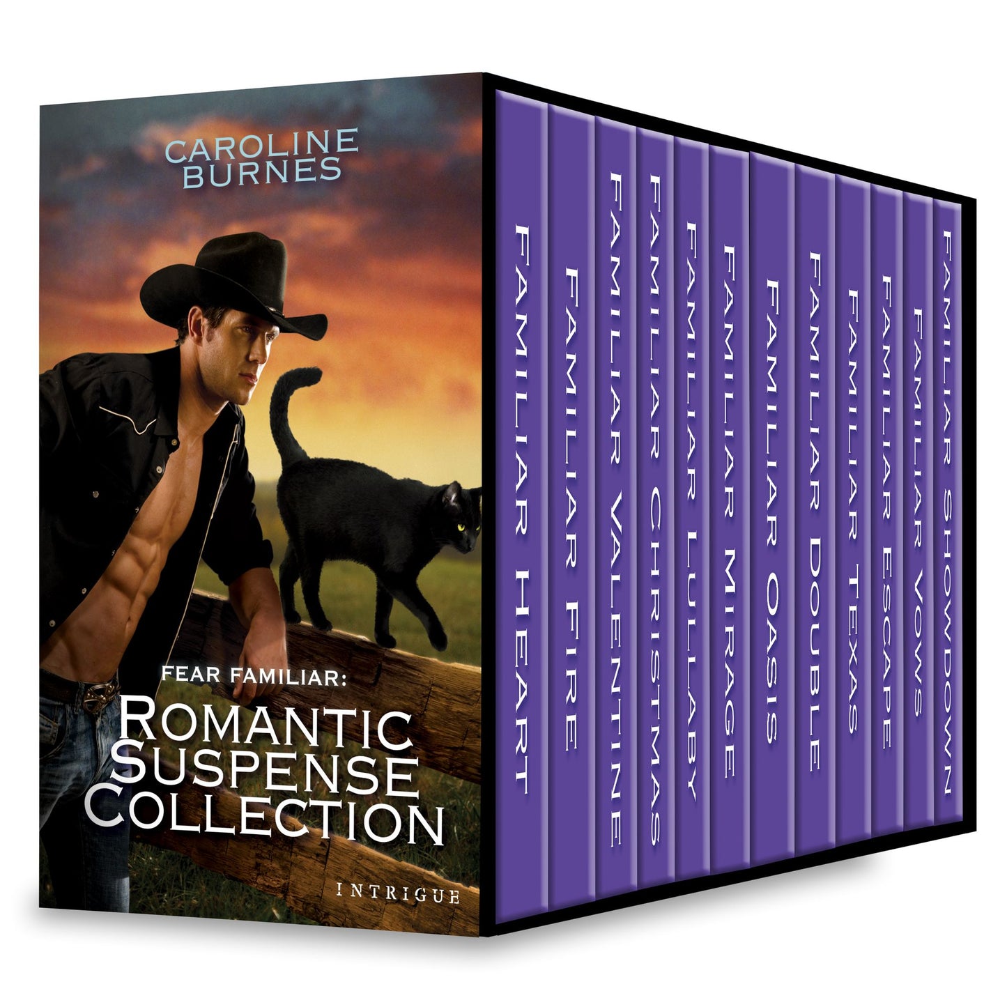 Fear Familiar: Romantic Suspense Collection: Familiar HeartFamiliar FireFamiliar ValentineFamiliar ChristmasFamiliar LullabyFamiliar Mirage