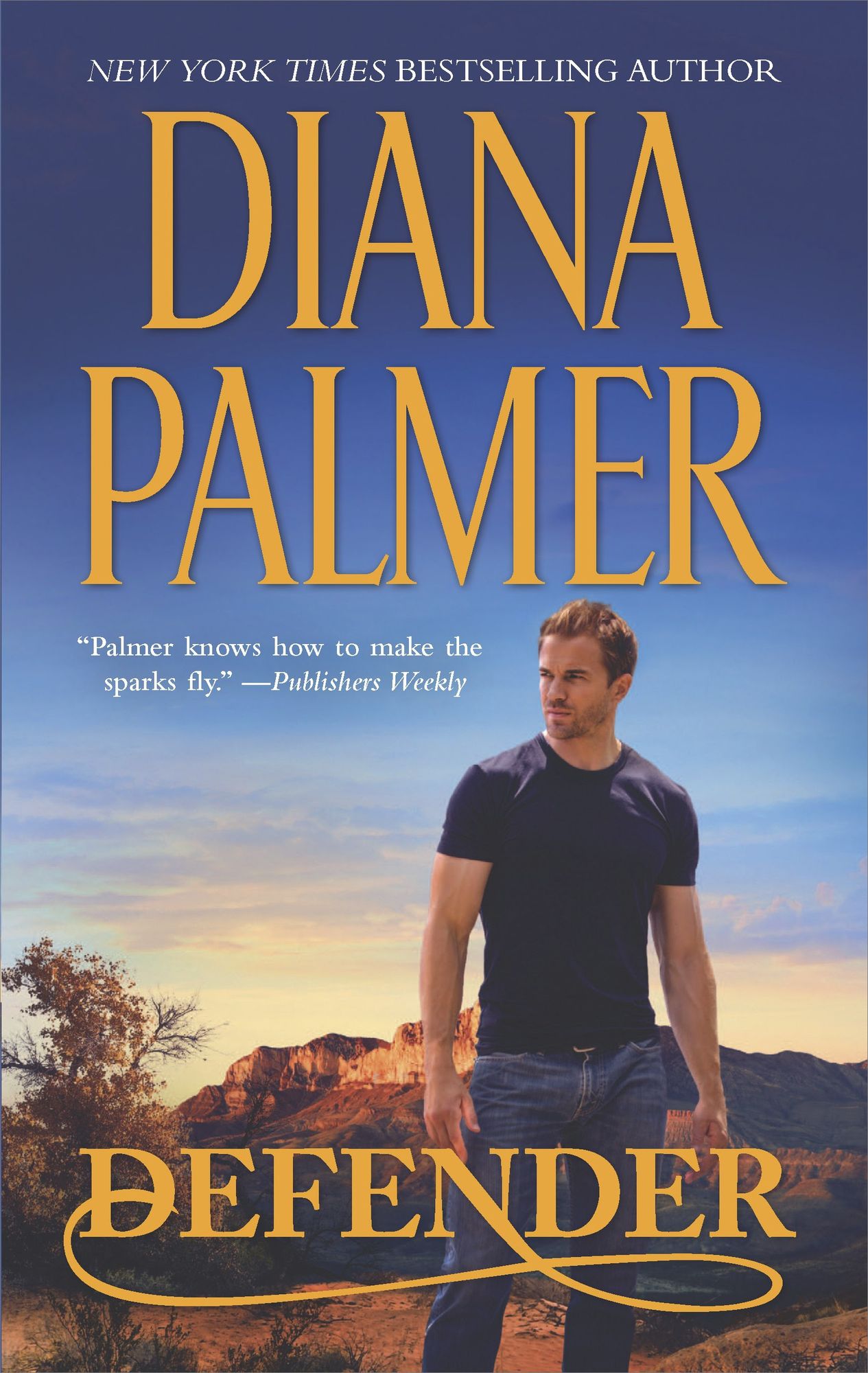 Defender: A Western Romance Novel