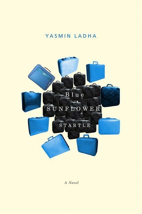 Blue Sunflower Startle