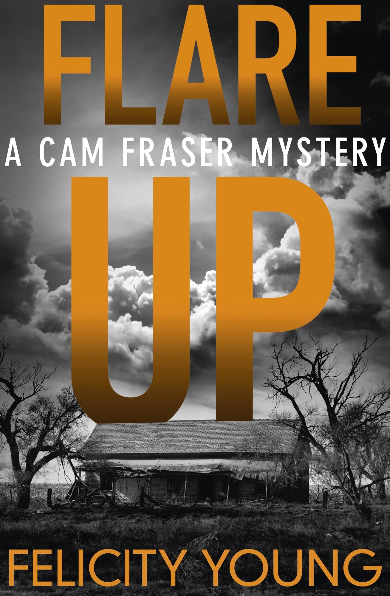 Flare-up: a tense, taut mystery
