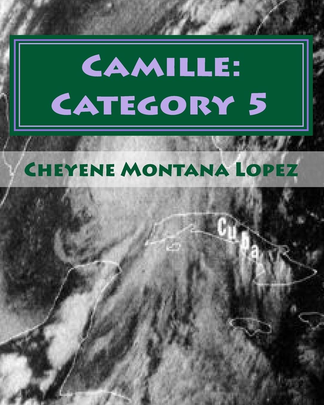 Camille: Category 5: The Most Powerful Hurricane of the Century