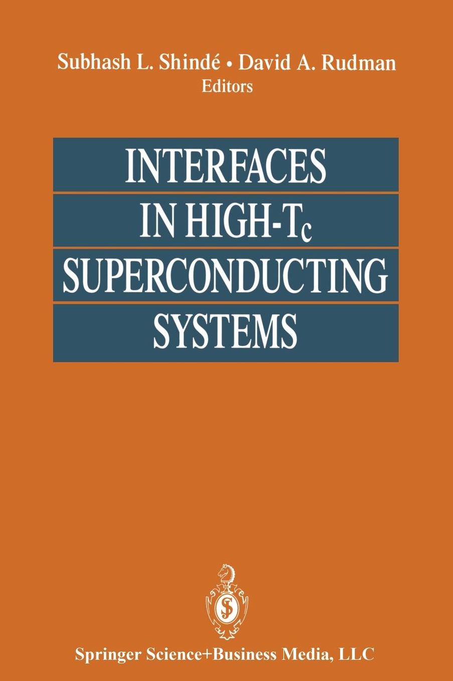 Interfaces in High-Tc Superconducting Systems