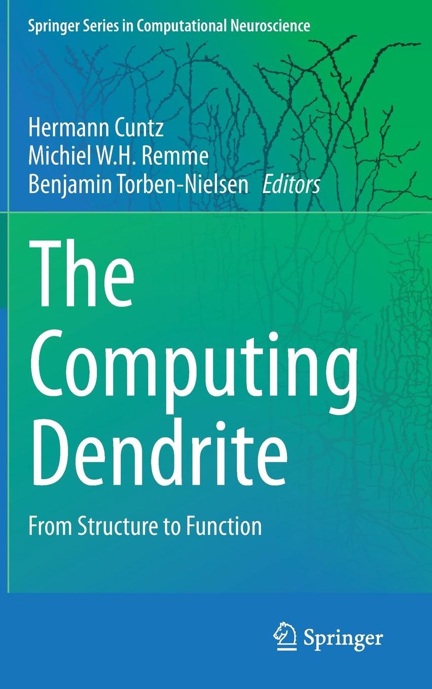The Computing Dendrite: From Structure to Function