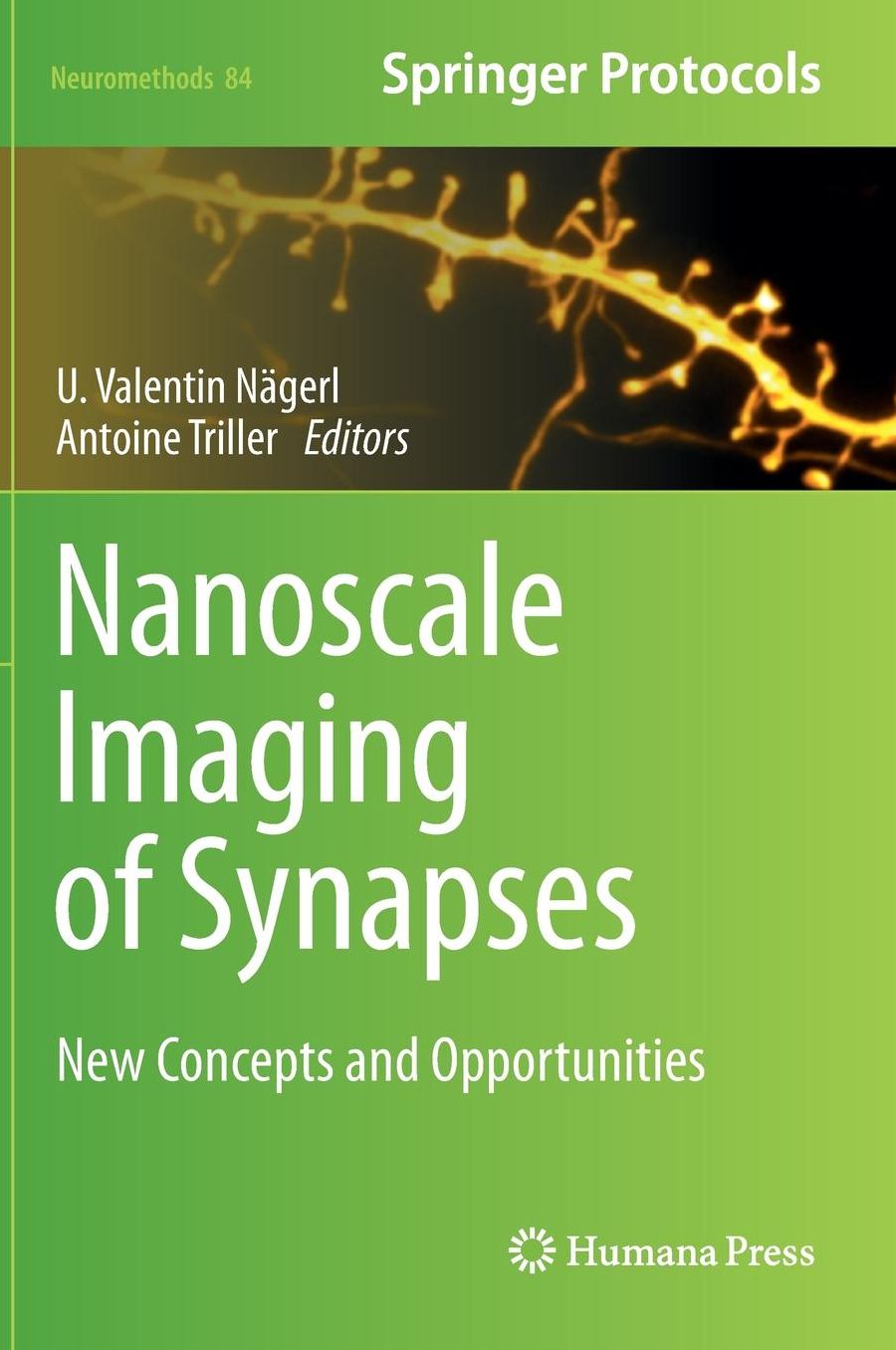 Nanoscale Imaging of Synapses: New Concepts and Opportunities